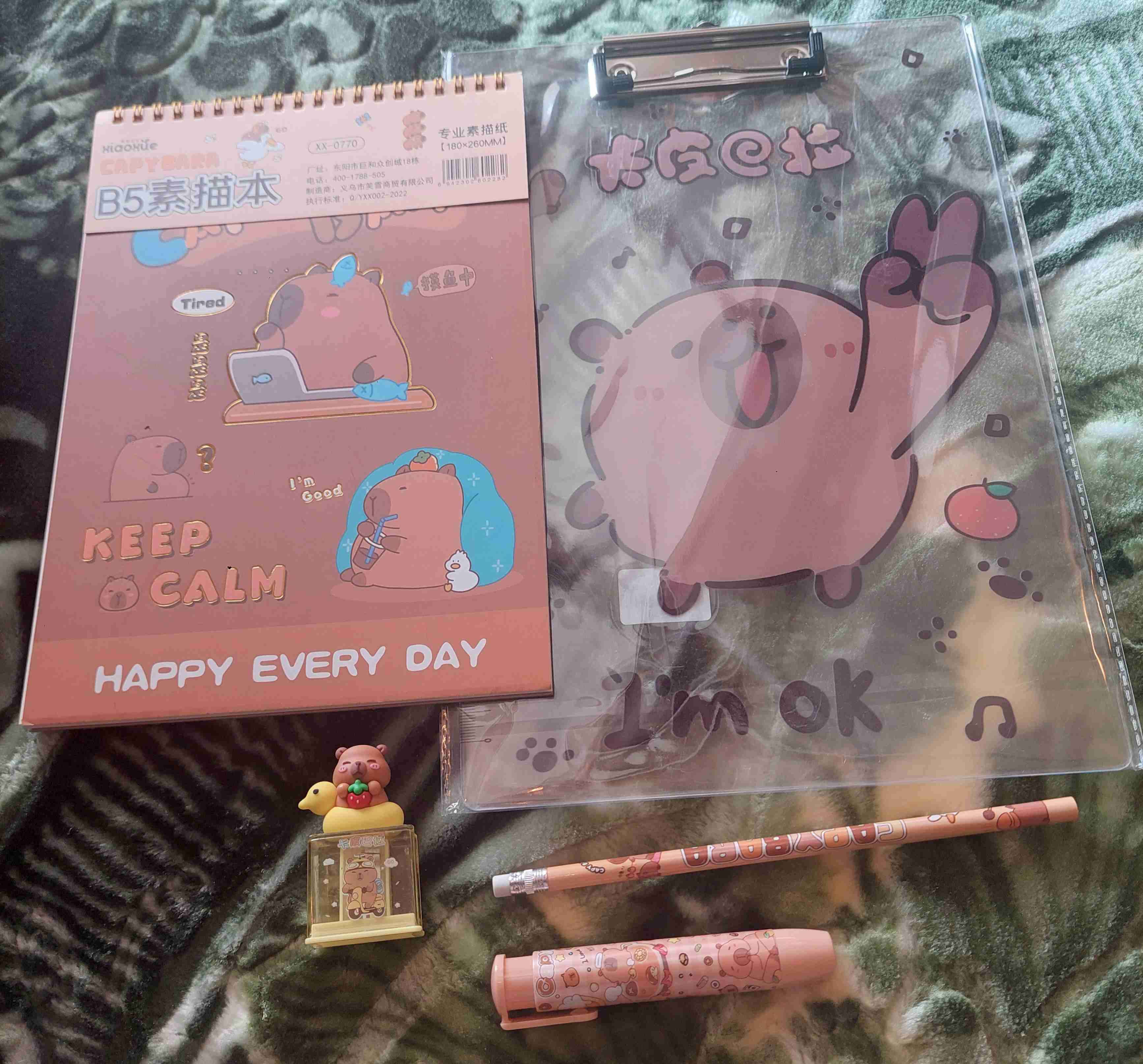 Set de papelería Capybara - miniatura 1