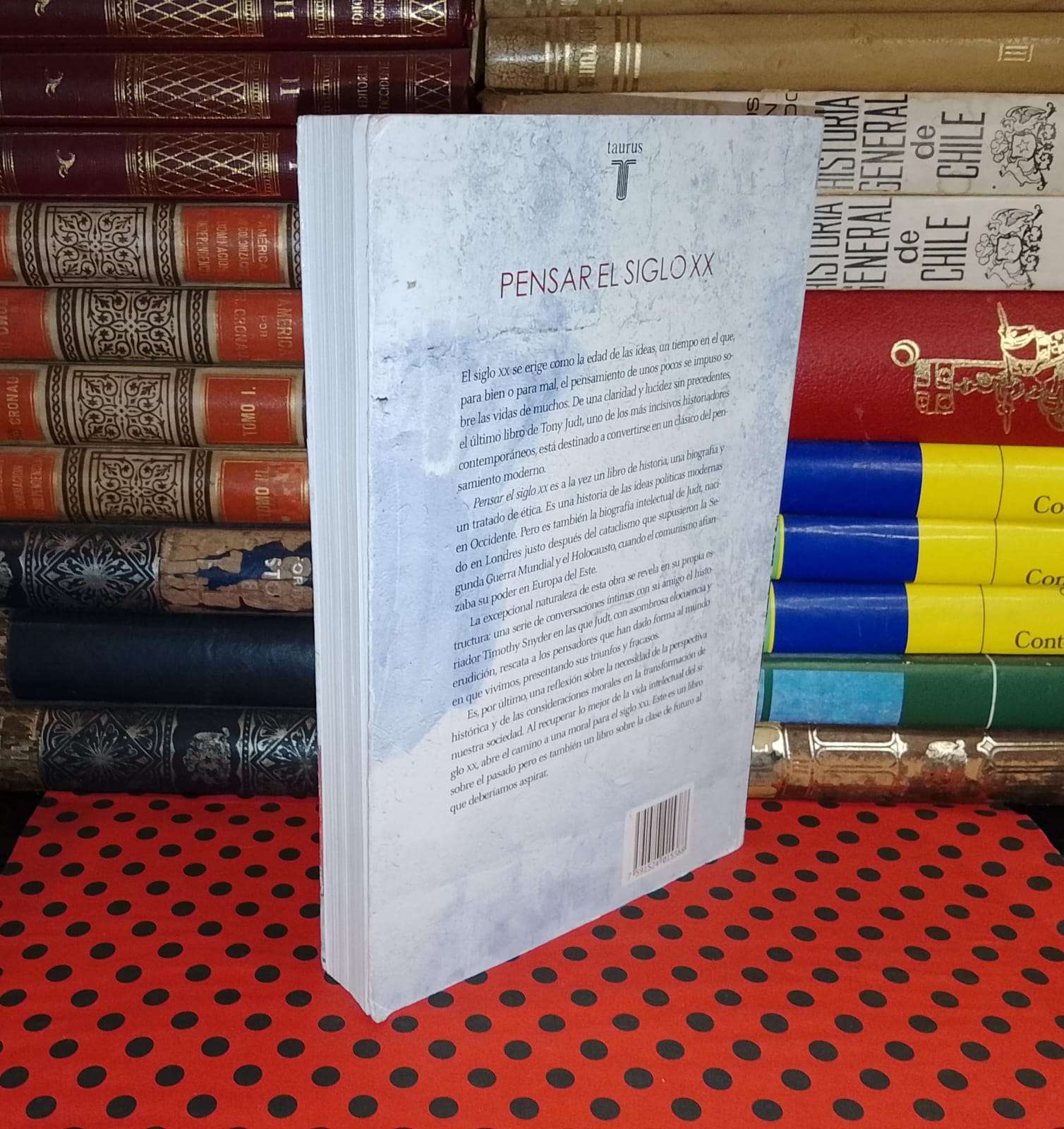 Pensar El Siglo XX  - Tony Judt | Timothy Snyder - miniatura 2
