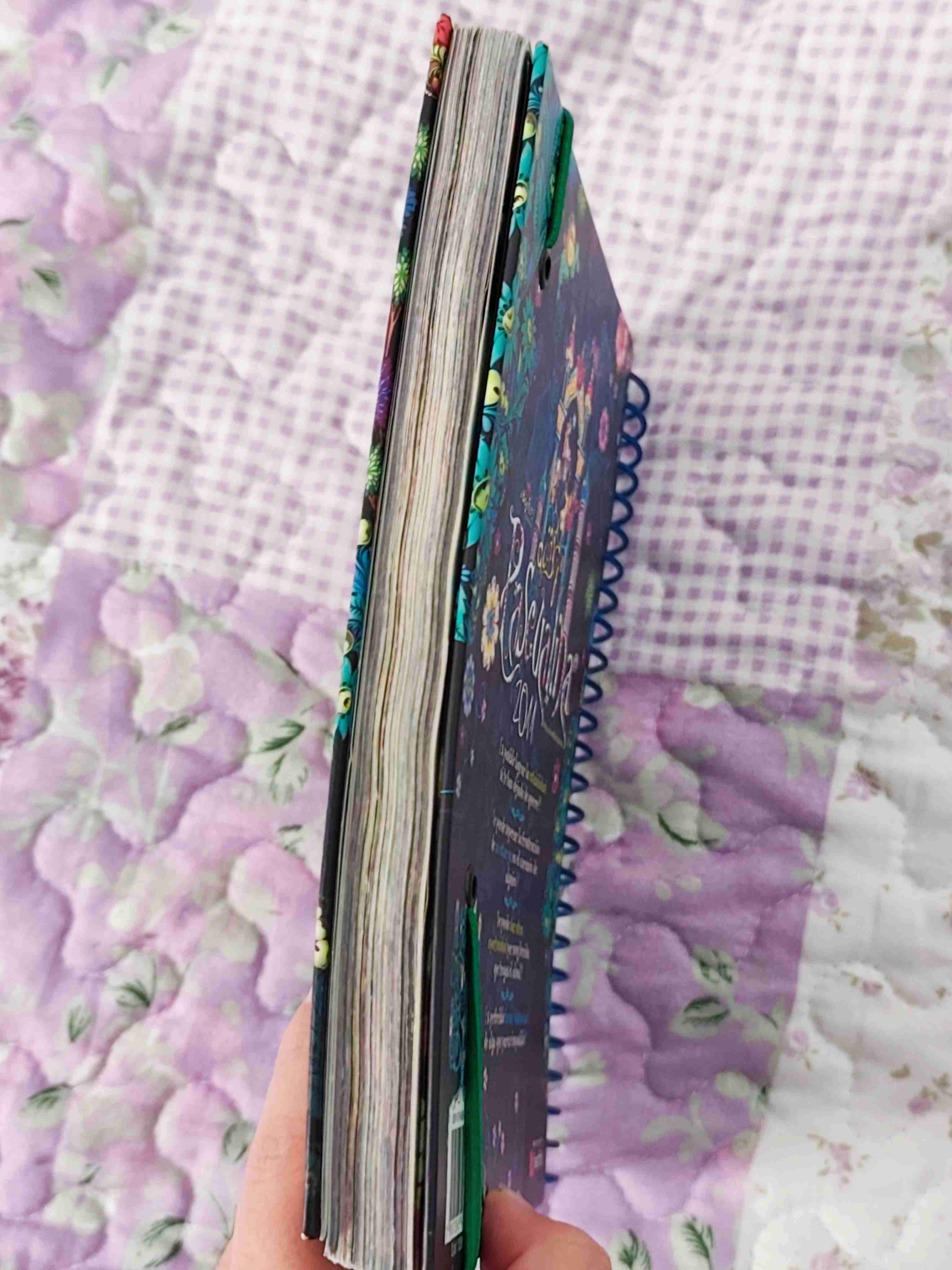 Agenda Pascualina 2011 - miniatura 3