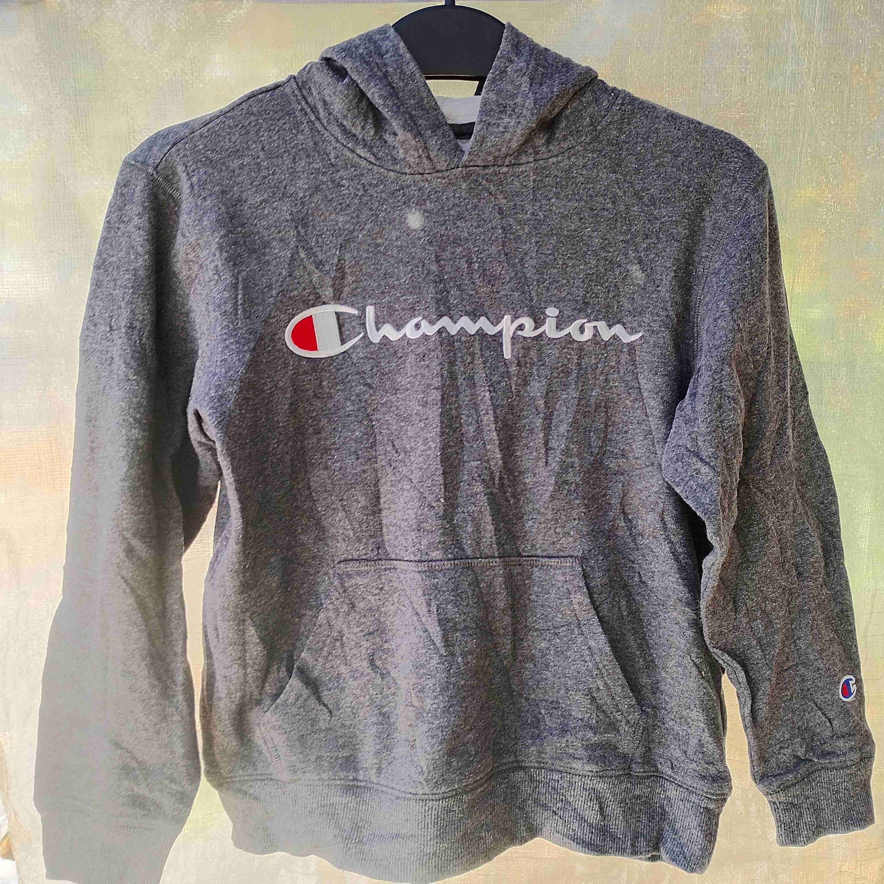Polerón Infantil Champion gris con capucha
