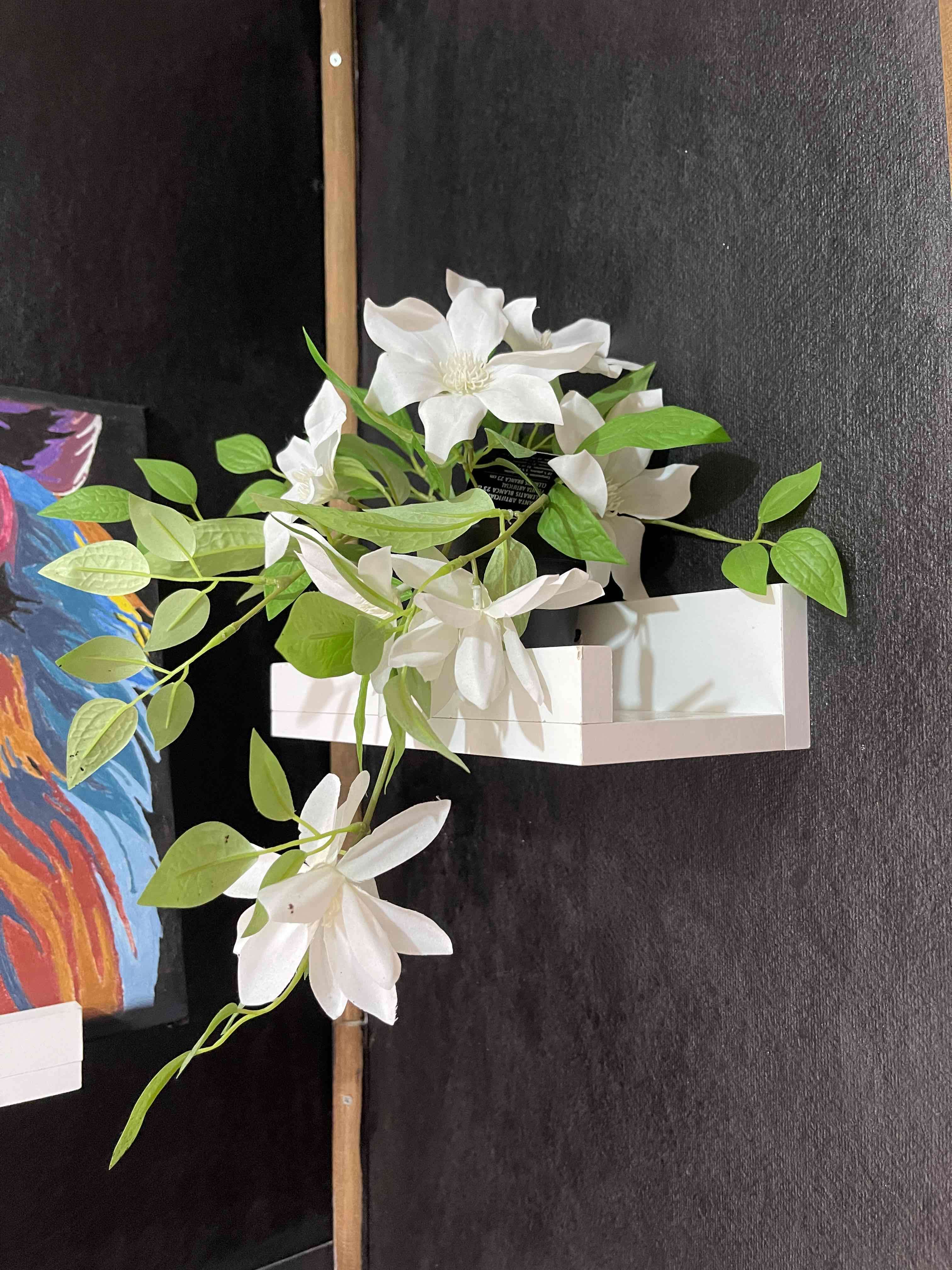 Estantes de madera pequeños - miniatura 3