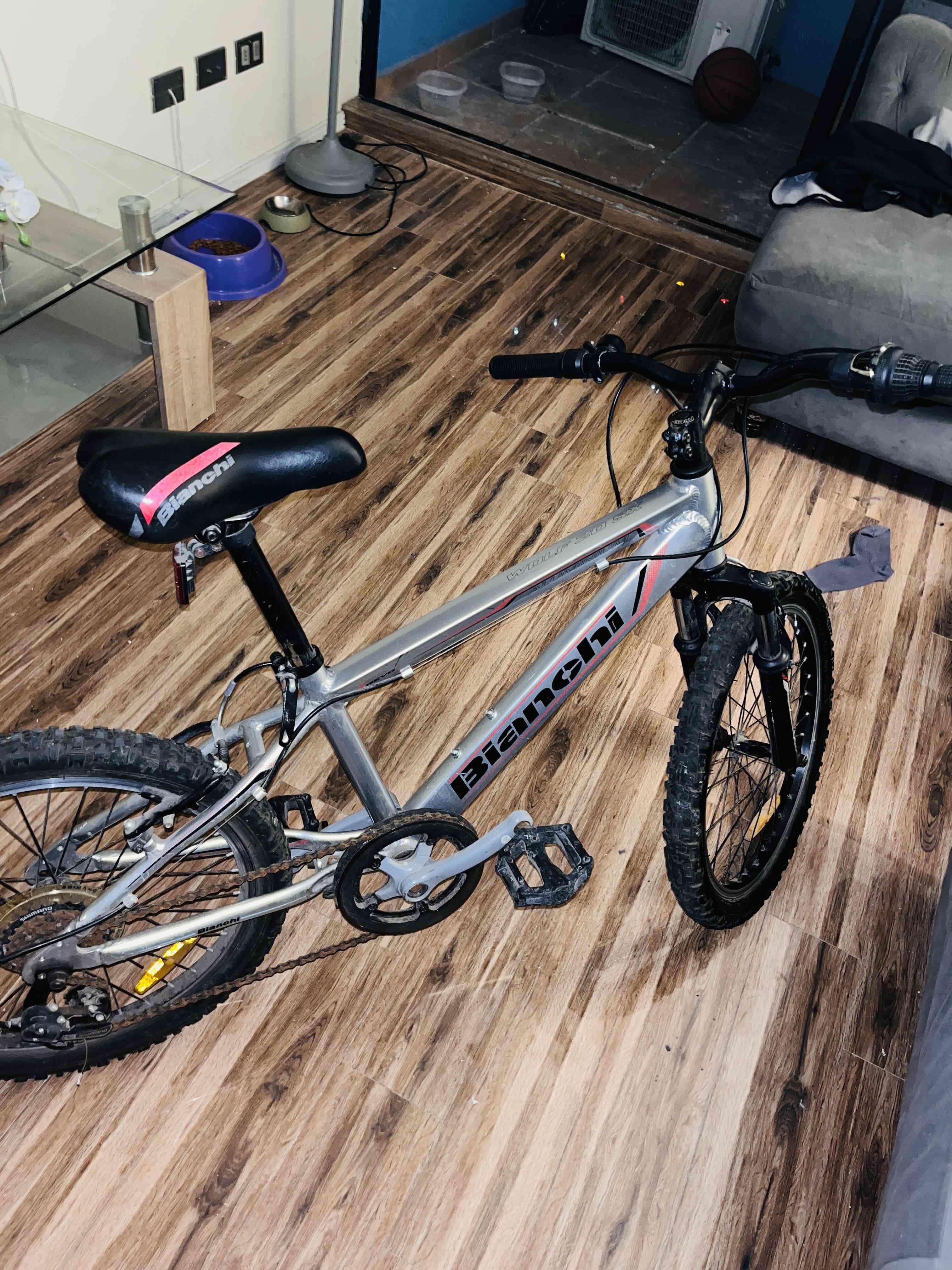 Bicicleta Bianchi gris - miniatura 1