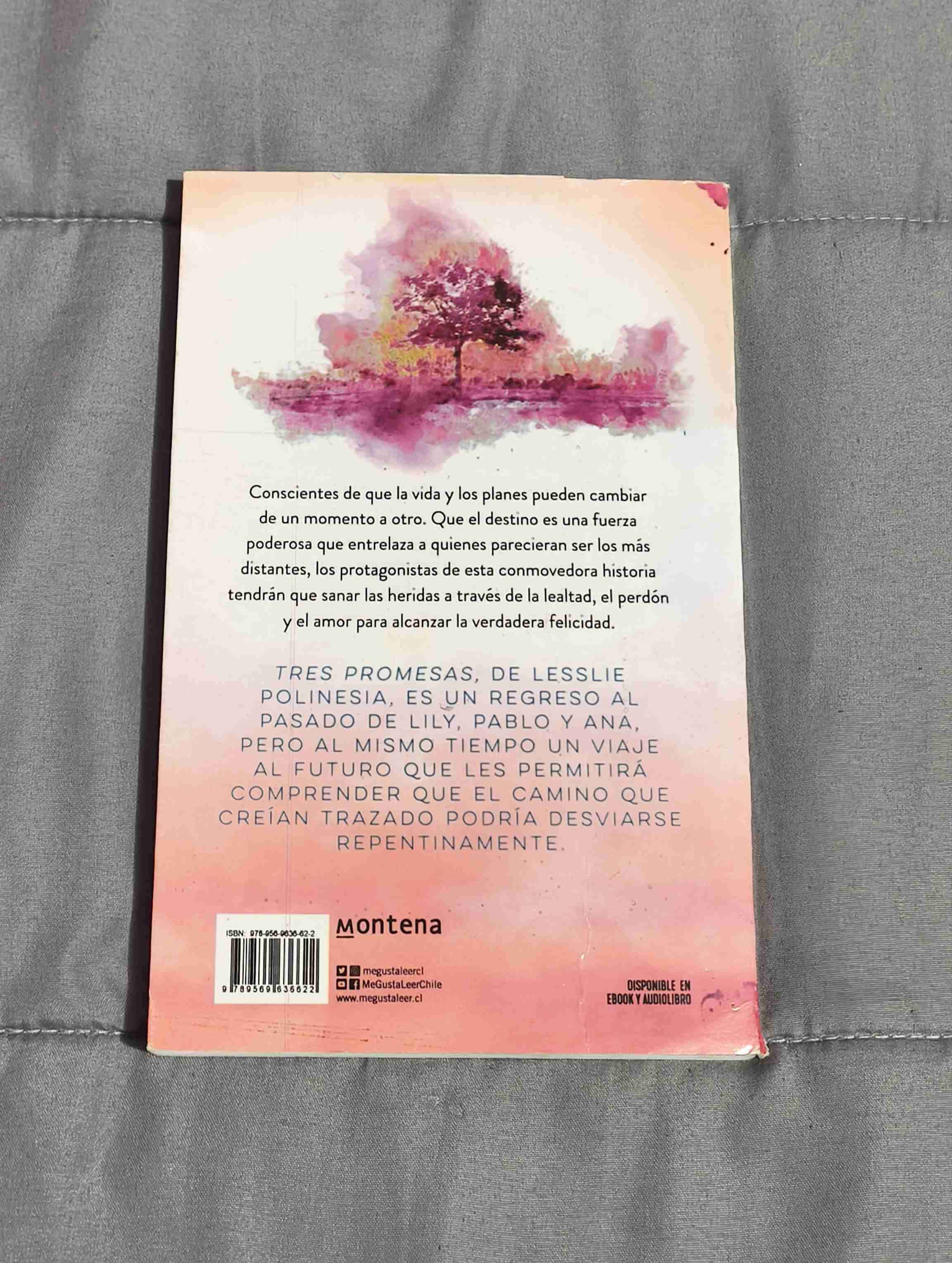 Libros Tres promesas y Ilusionate, Ríe, Baila - miniatura 2