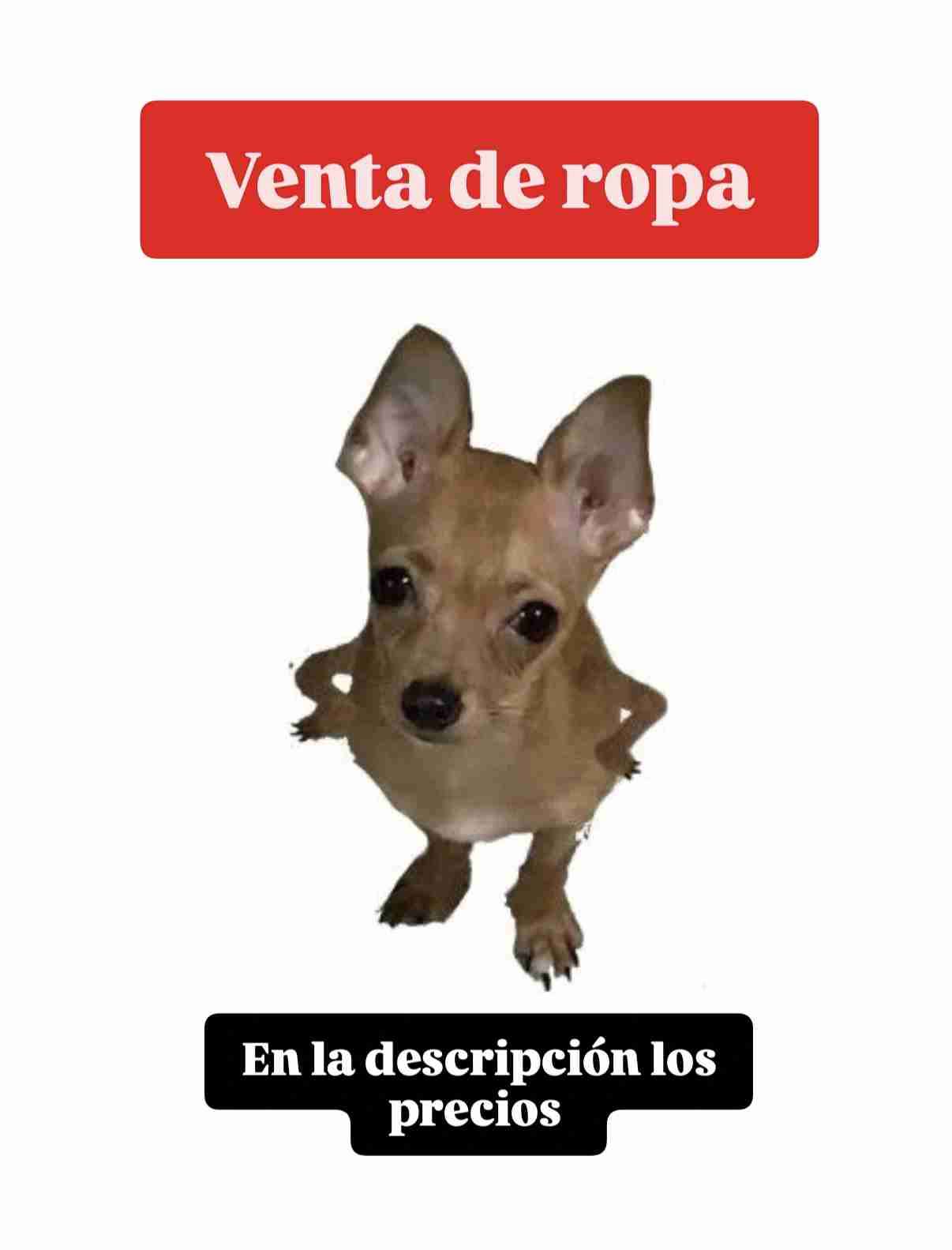 Venta de ropa - miniatura 1