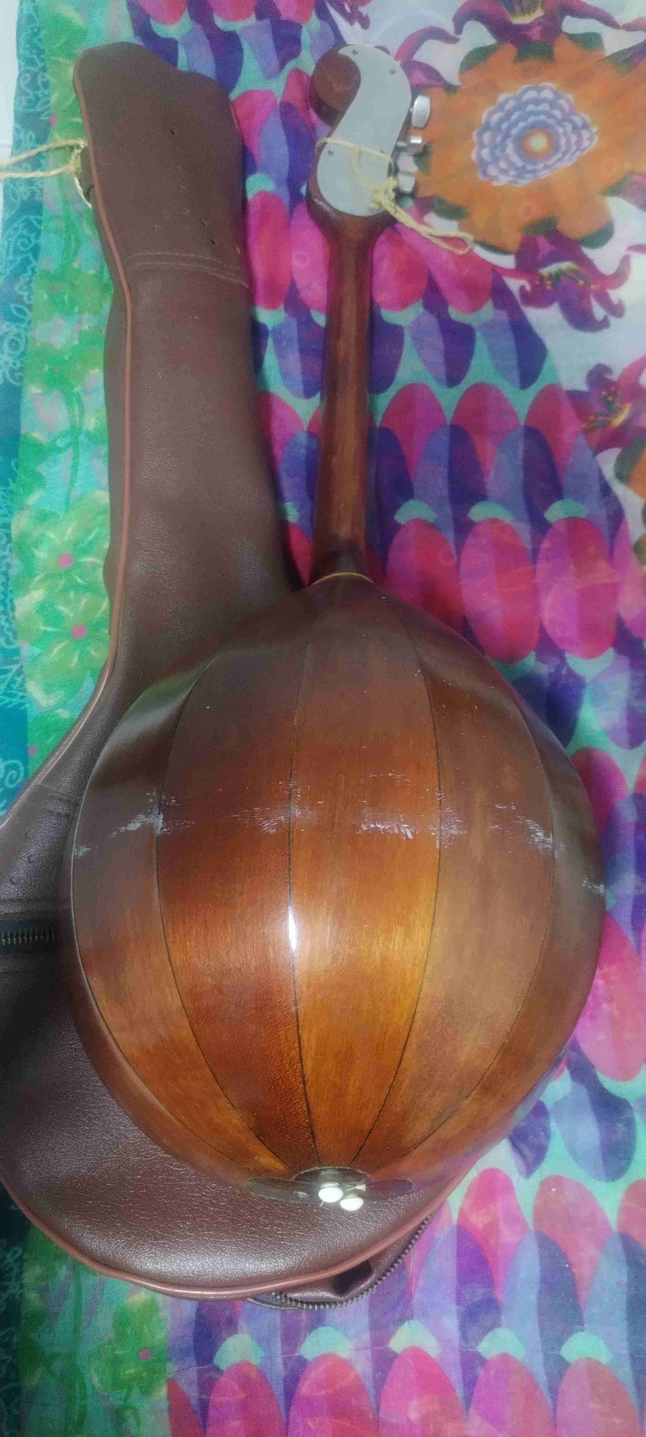 Instrumento musical de cuerda con estuche - miniatura 1