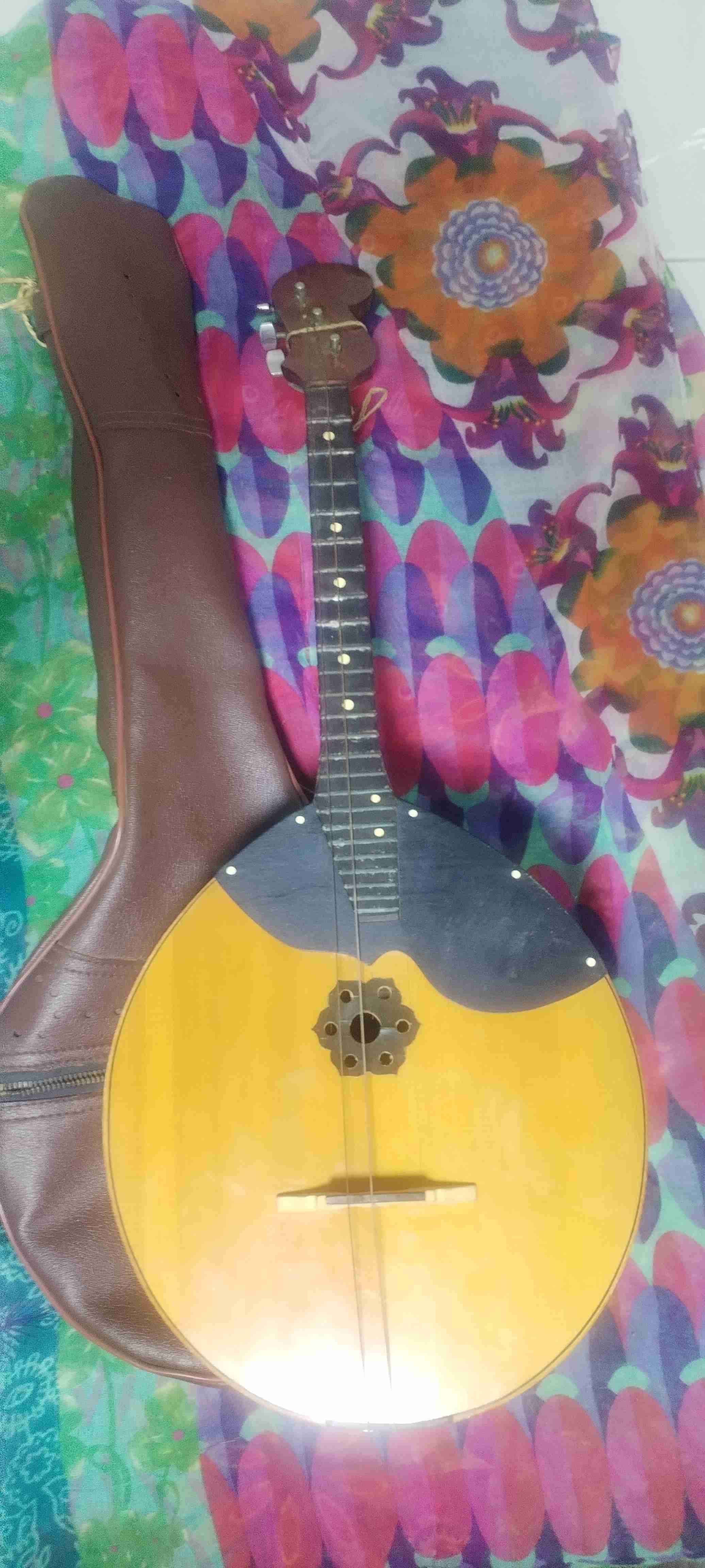 Instrumento musical de cuerda con estuche - miniatura 2