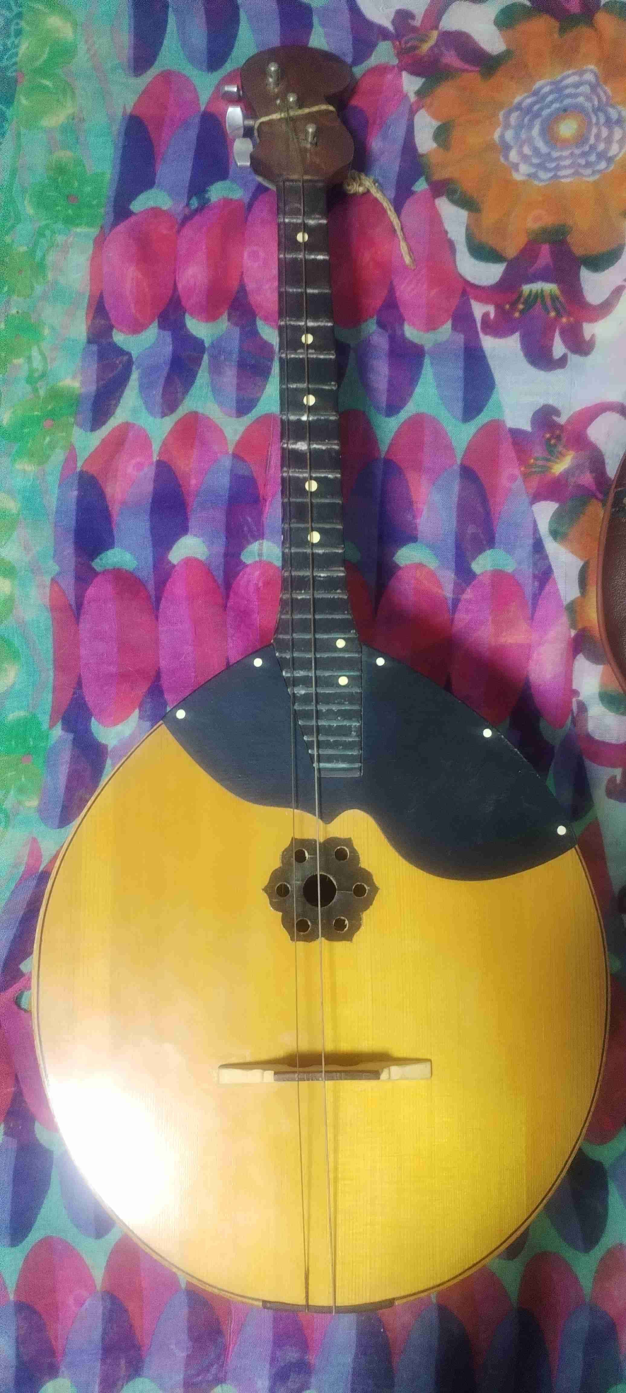 Instrumento musical de cuerda con estuche - miniatura 6