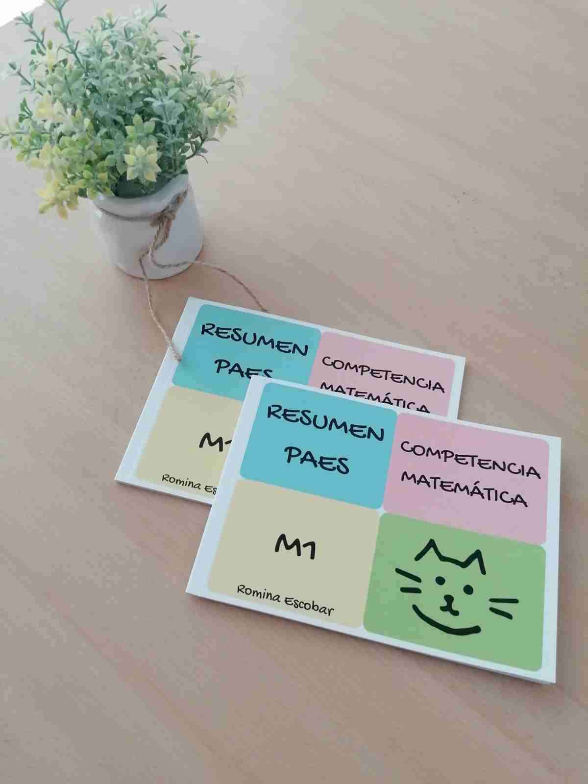 Resumen PAES Matemática M1