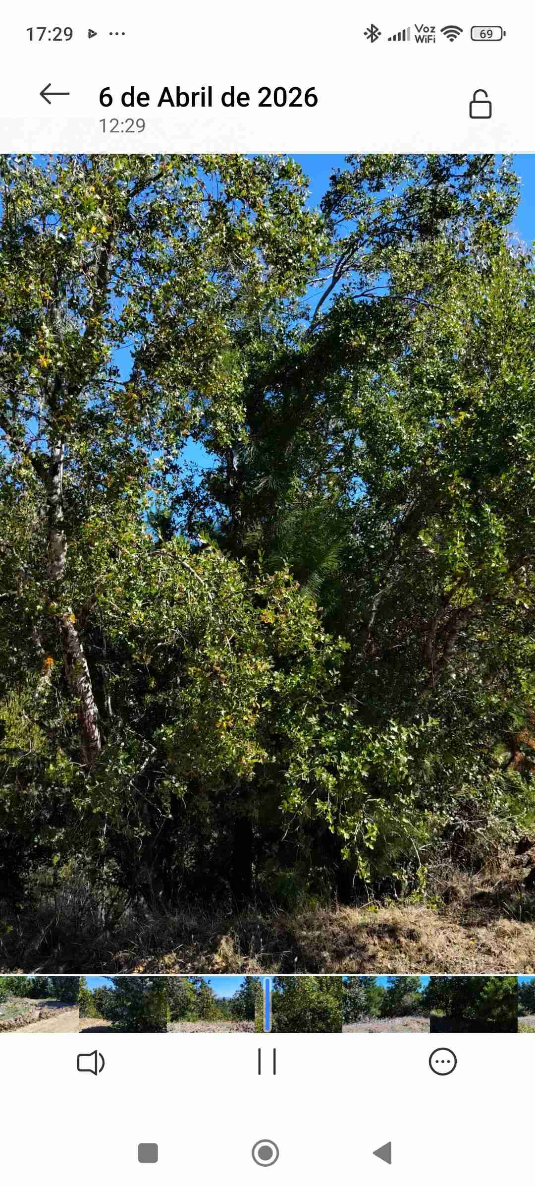 Terreno con vegetación - miniatura 2