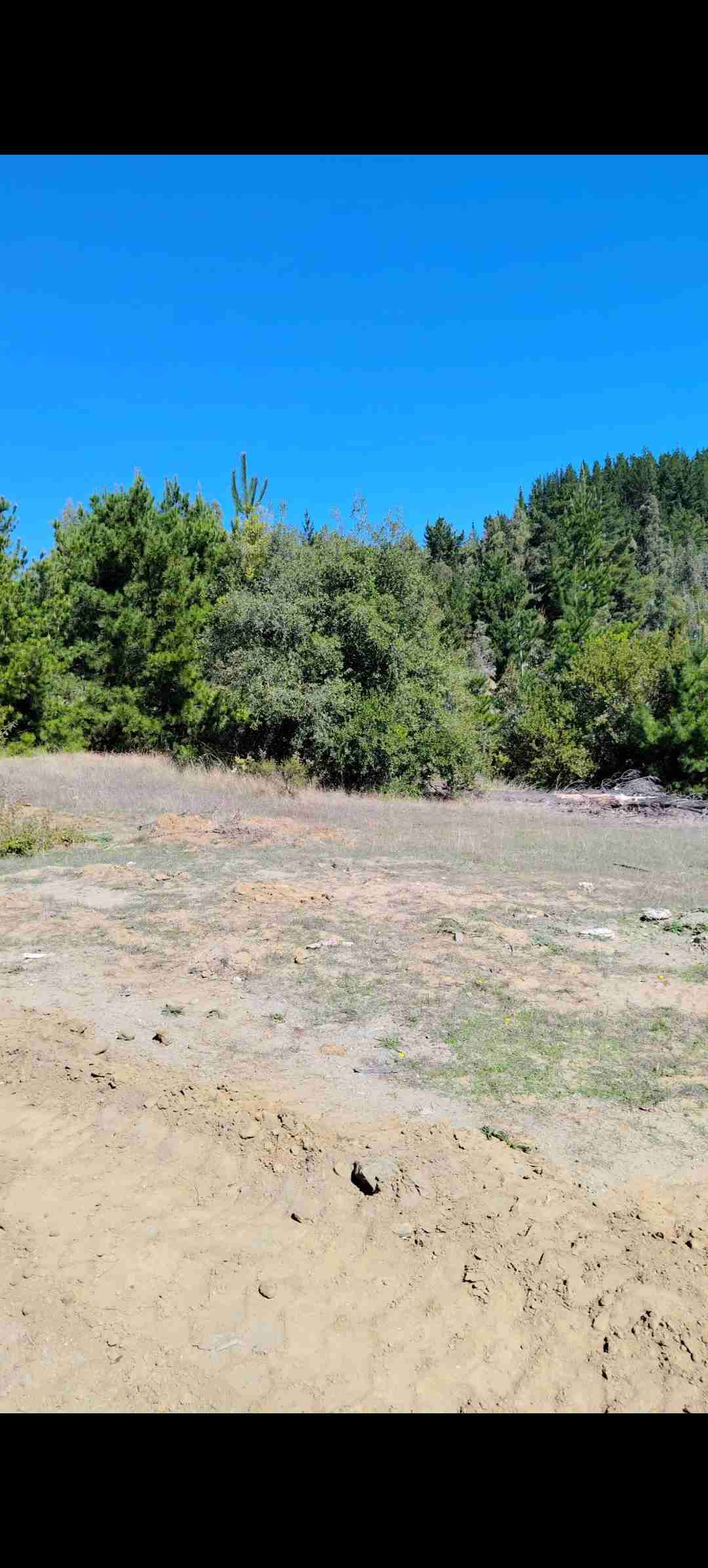 Terreno con vegetación - miniatura 5