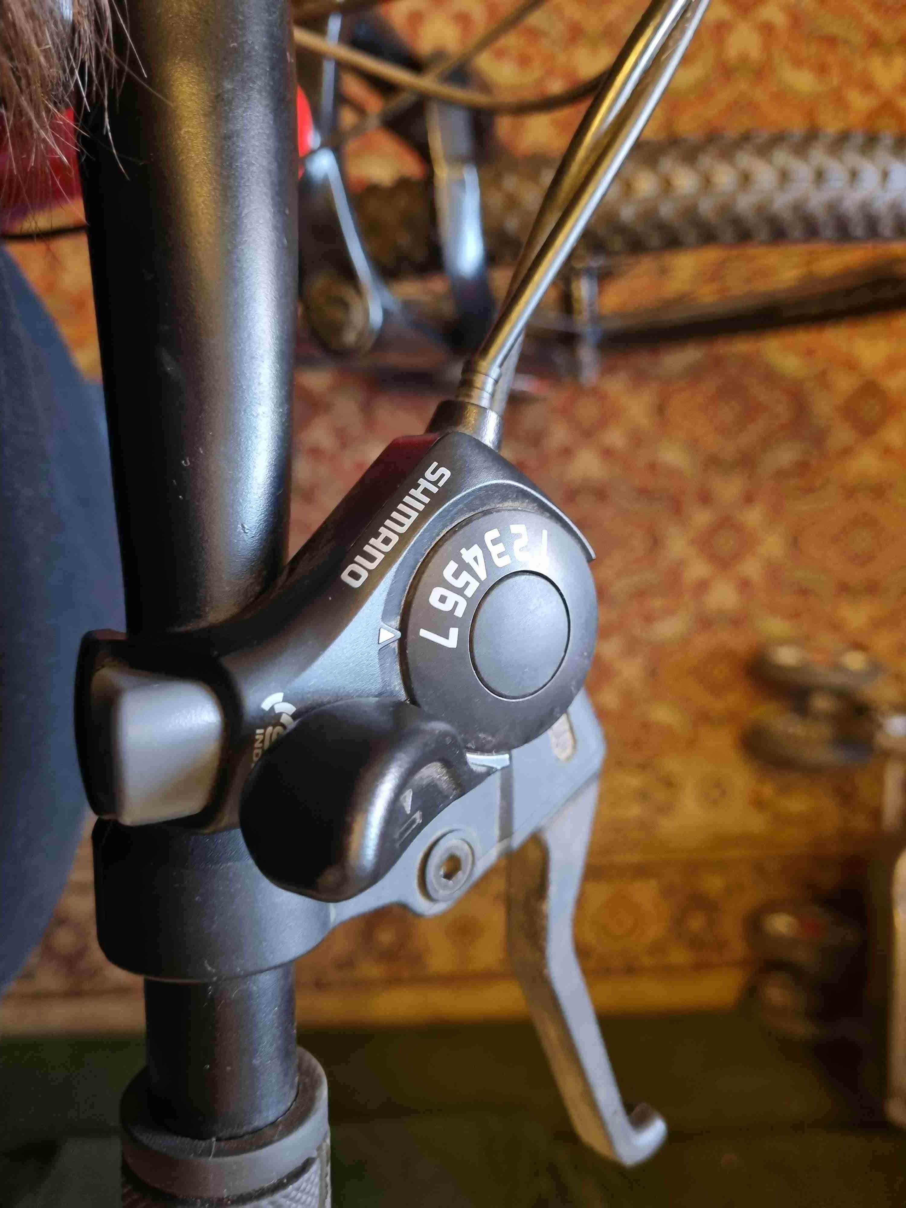 Bicicleta Bianchi roja mountain bike y rodillo - miniatura 5