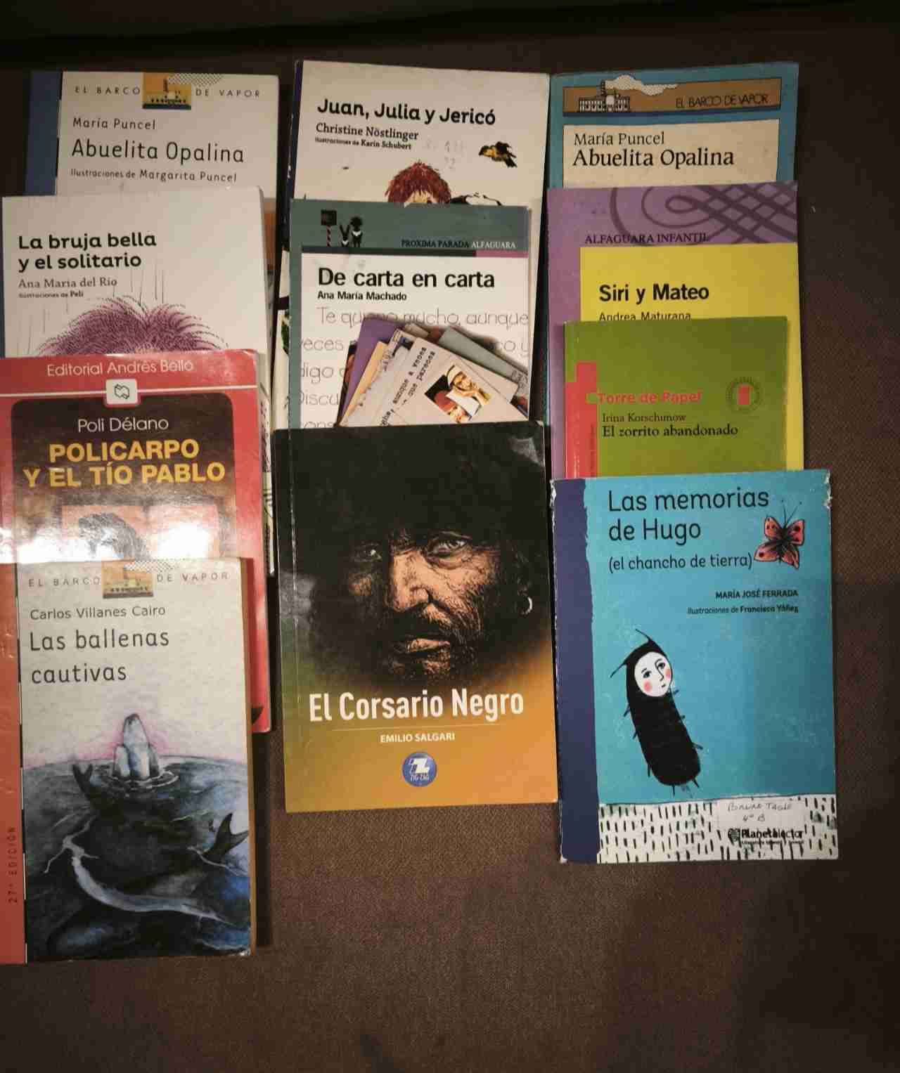 Colección de libros infantiles y juveniles