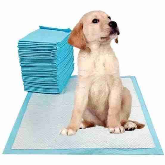 Pañales absorbentes para mascotas - miniatura 1