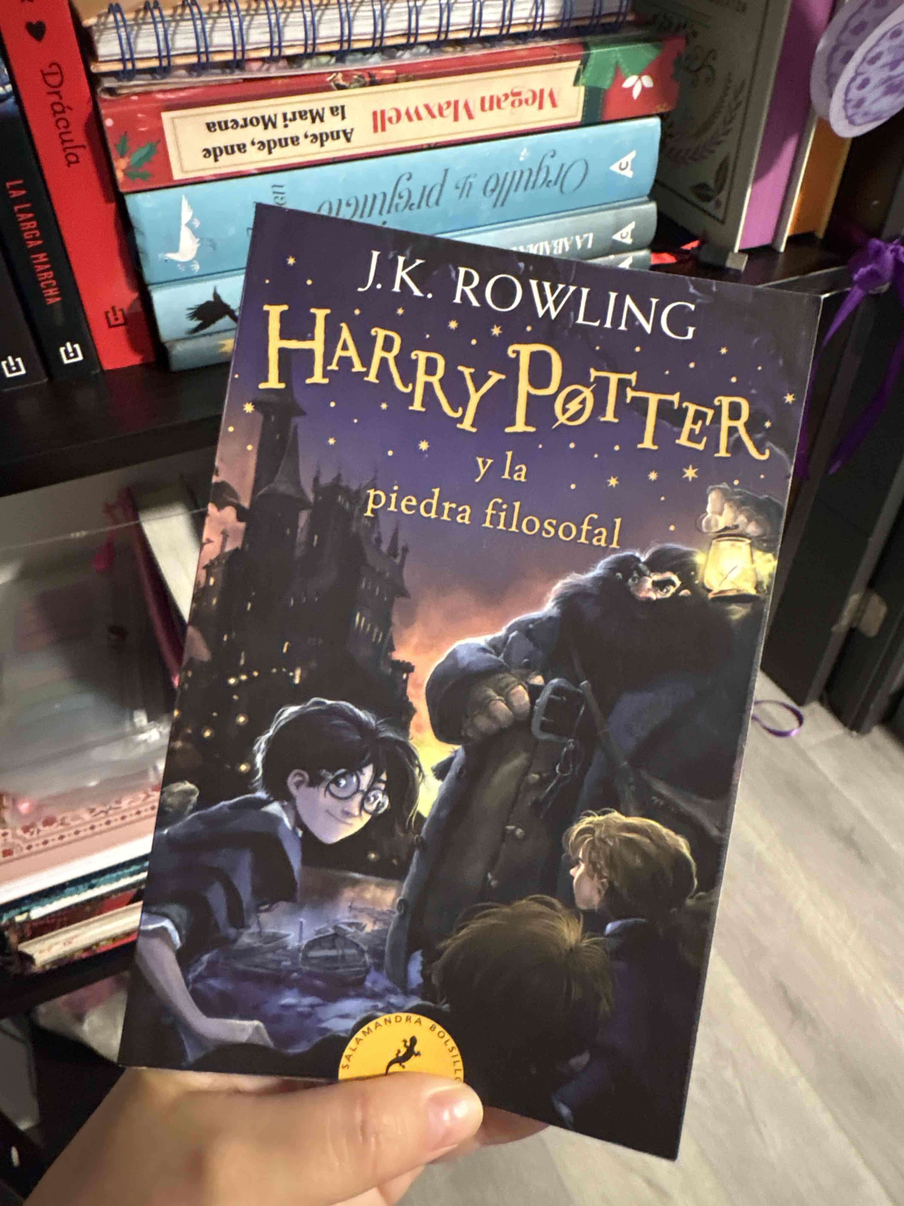 Harry Potter y la piedra filosofal - miniatura 1