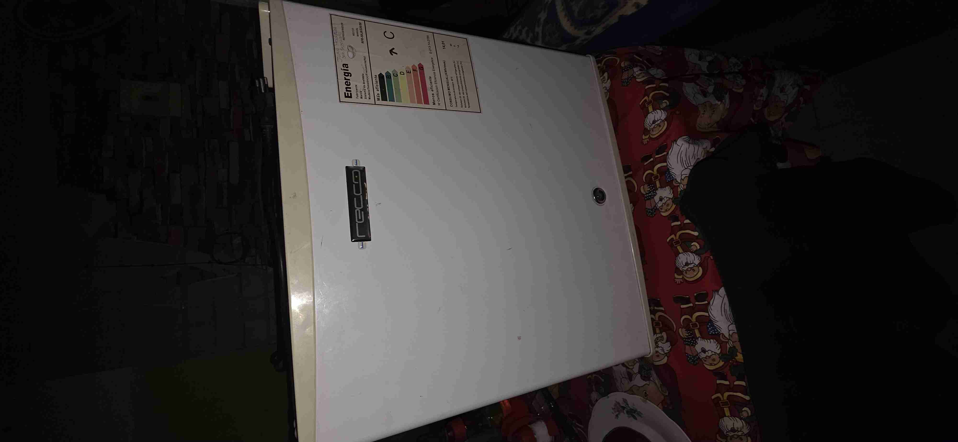 Refrigerador pequeño Recco blanco usado