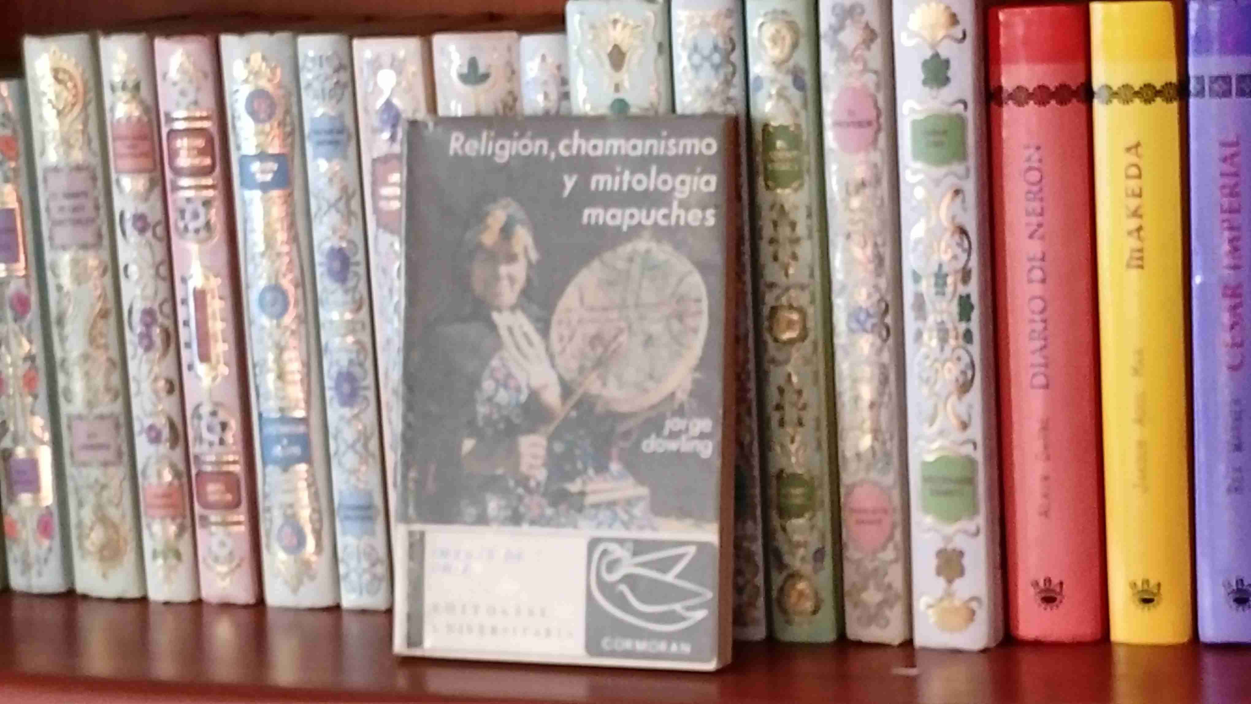 Libro 'Religión, chamanismo y mitología mapuches - miniatura 1