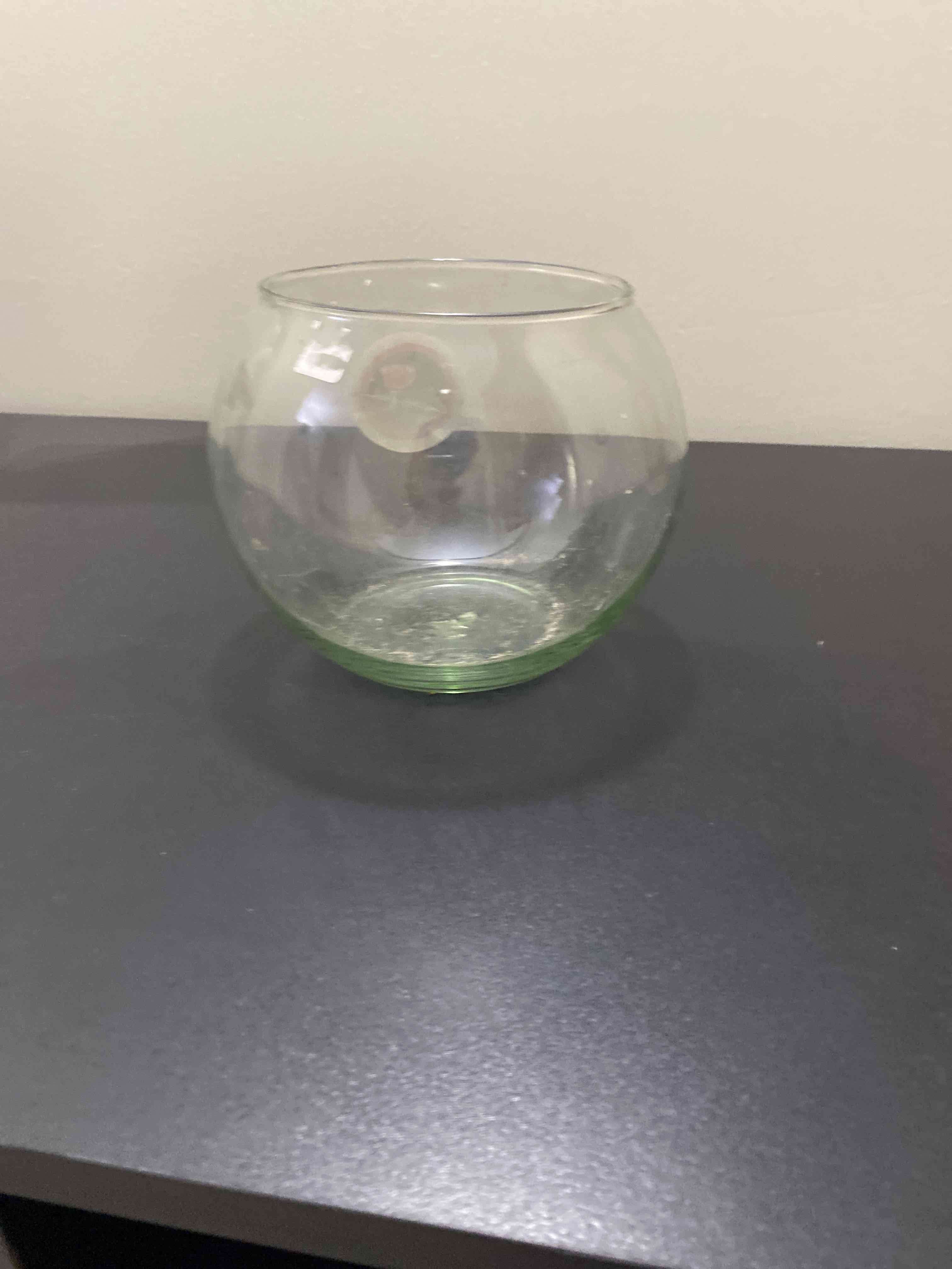 Pecera de vidrio pequeña