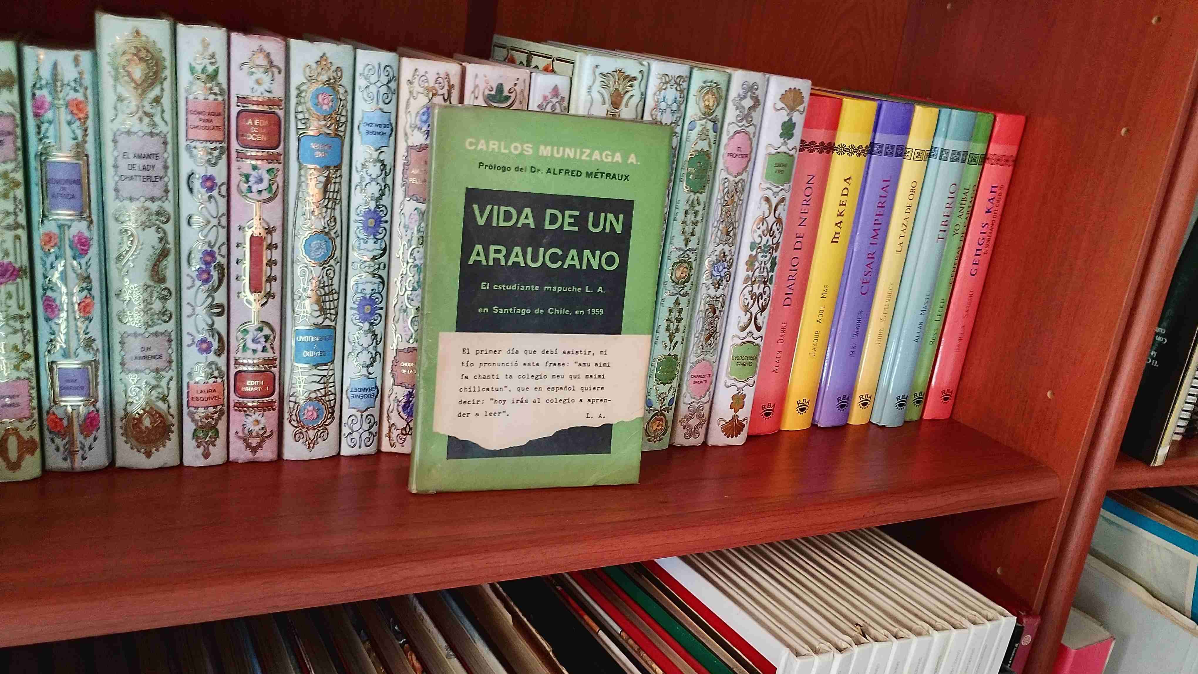 Vida de un Araucano - miniatura 1