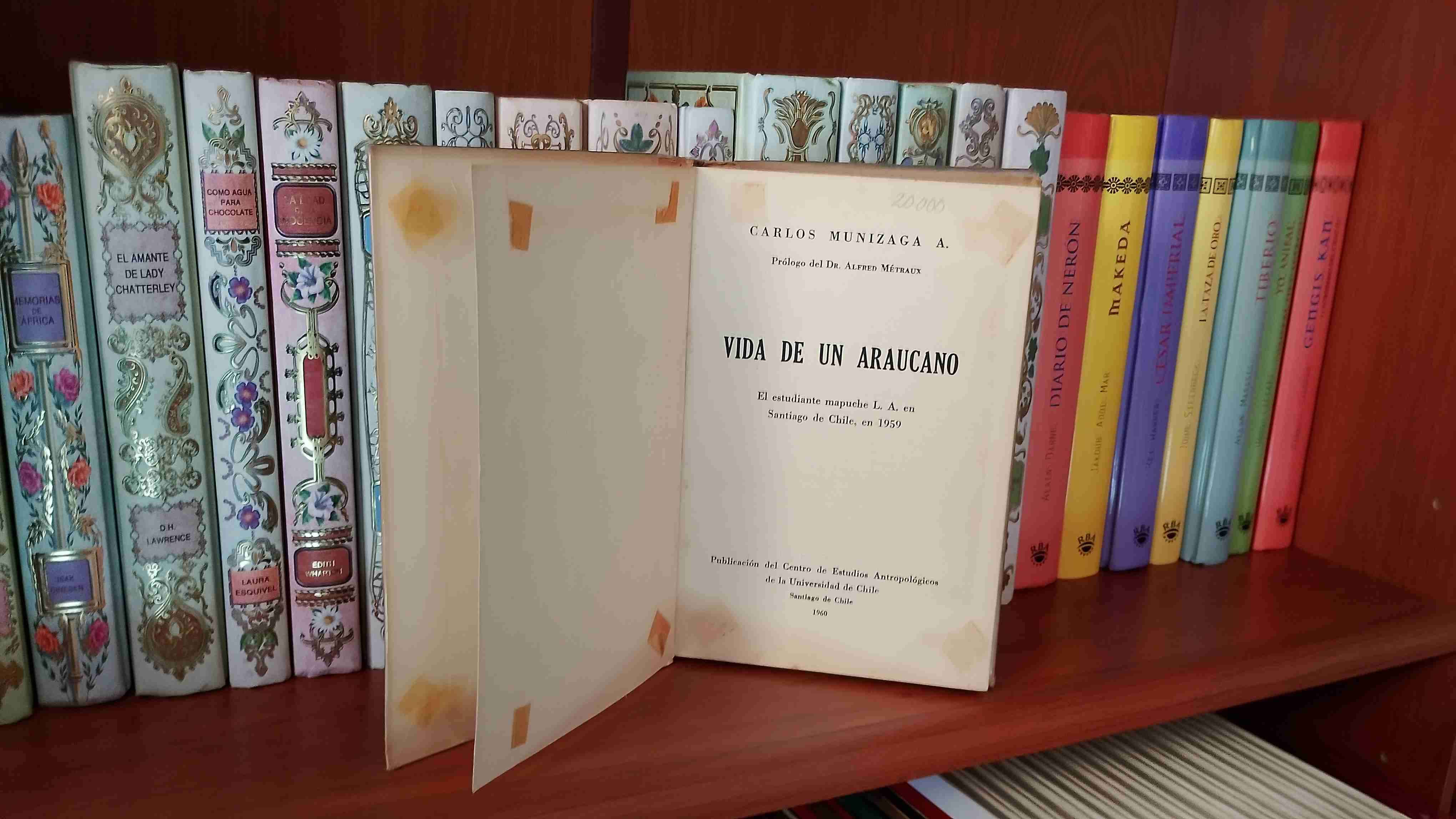 Vida de un Araucano - miniatura 2