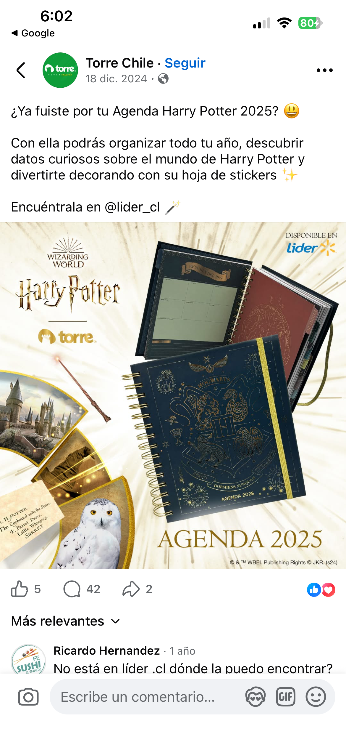 Agenda Harry Potter 2025 - miniatura 2