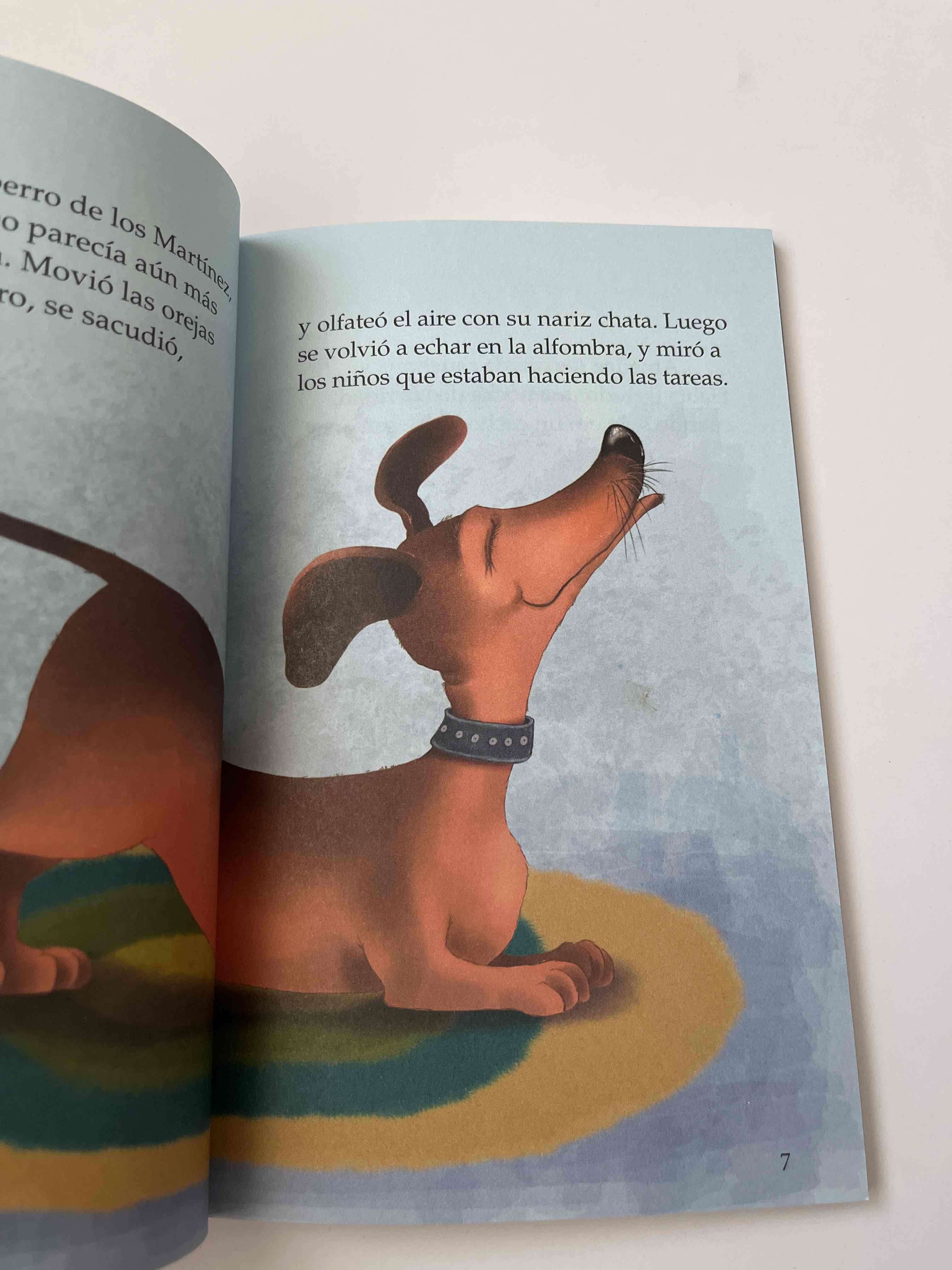 Libro 'Un perro confundido' - miniatura 3