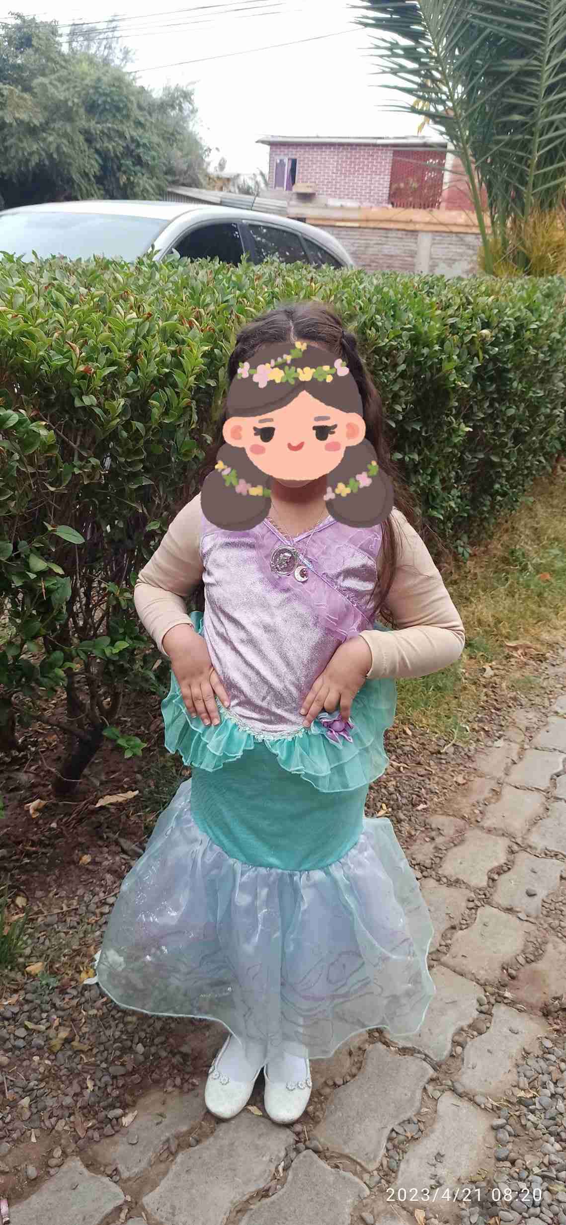 Disfraz de princesa infantil