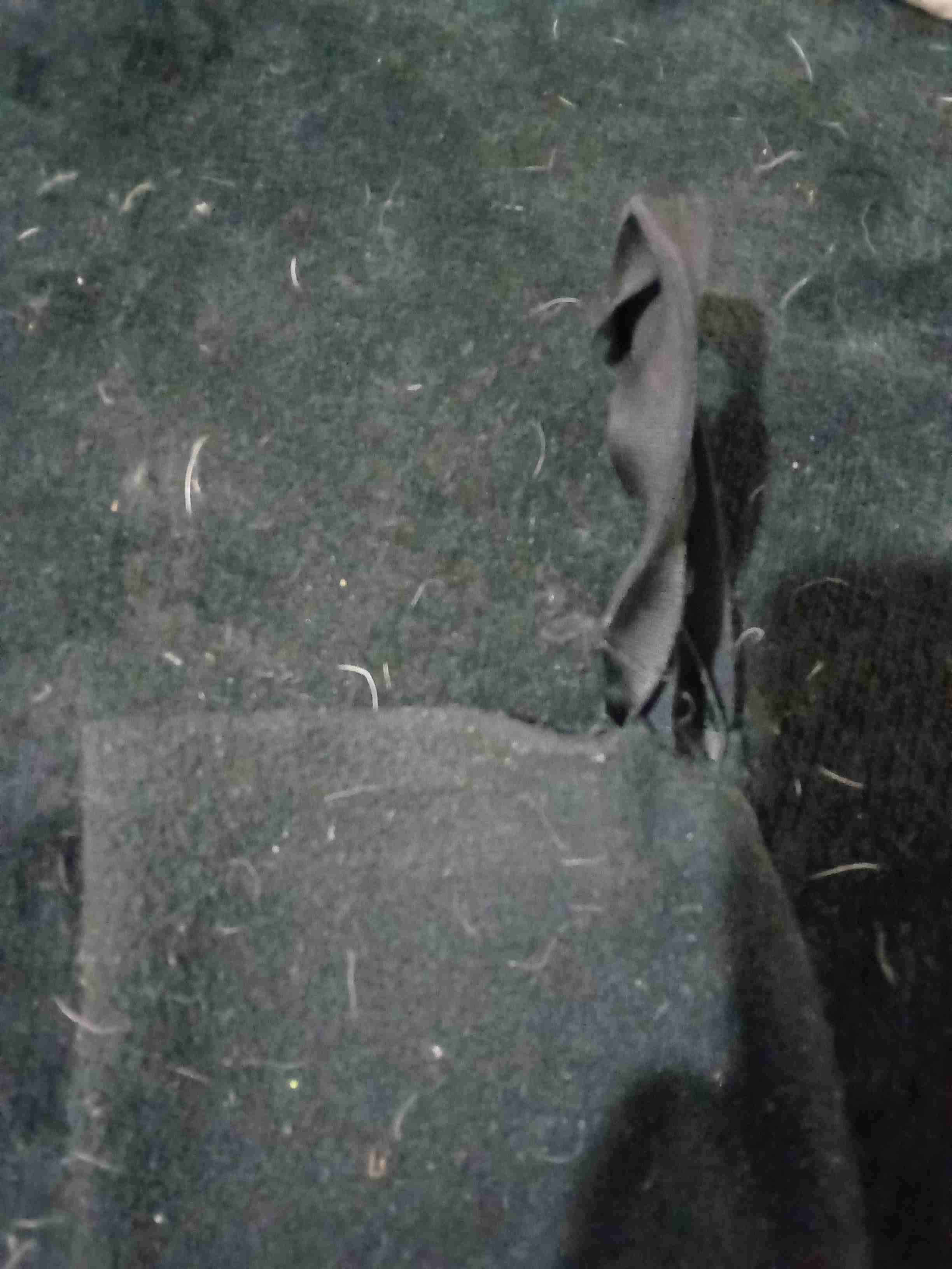 Chaqueta deportiva puma negra con logo talla m - miniatura 2