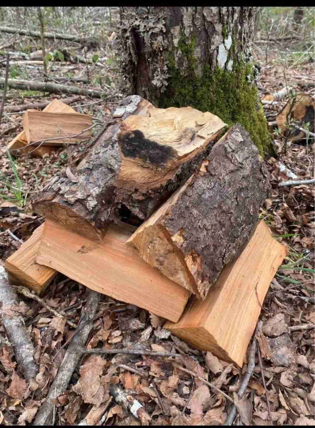 Leña en sacos rojos - miniatura 3