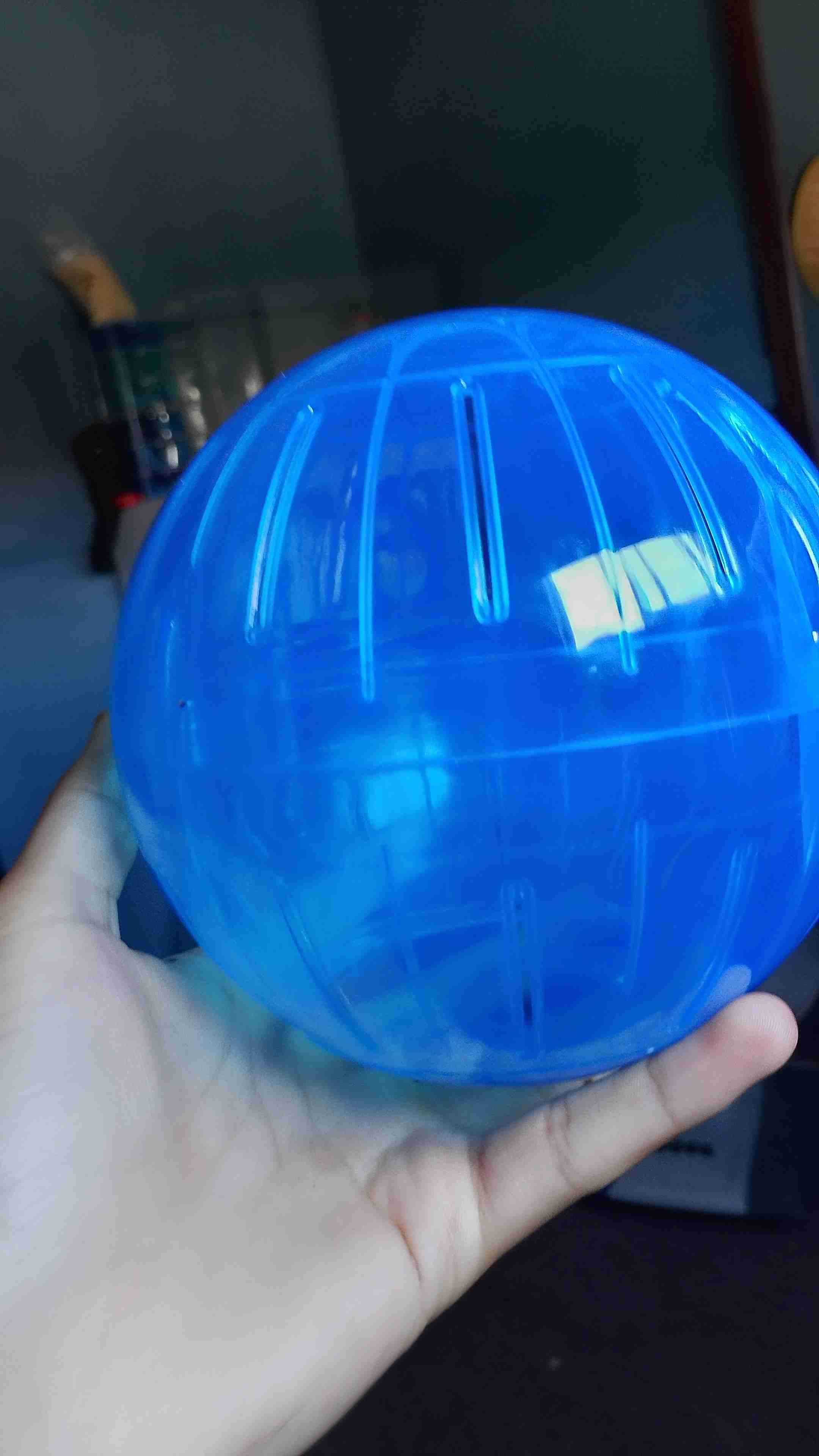 Bola de hamster azul