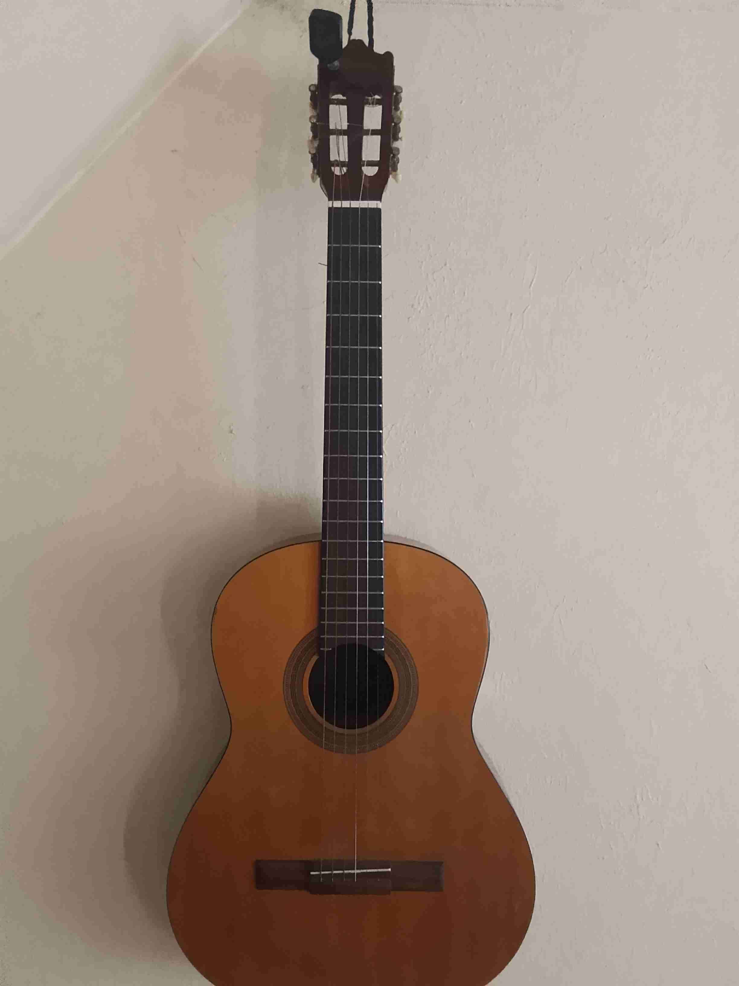 Guitarra clásica Ibanez