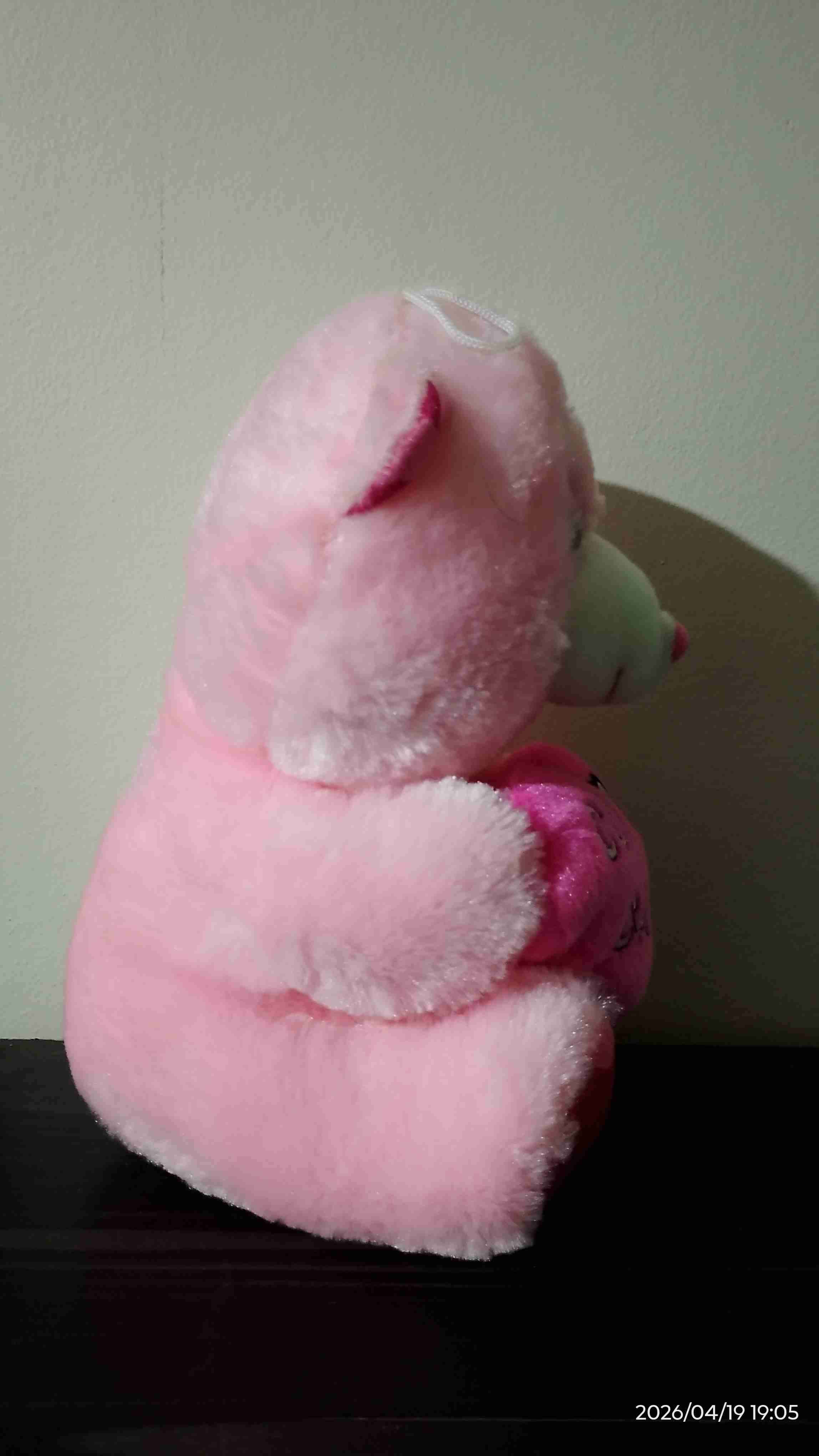 Osito de peluche rosa - miniatura 4