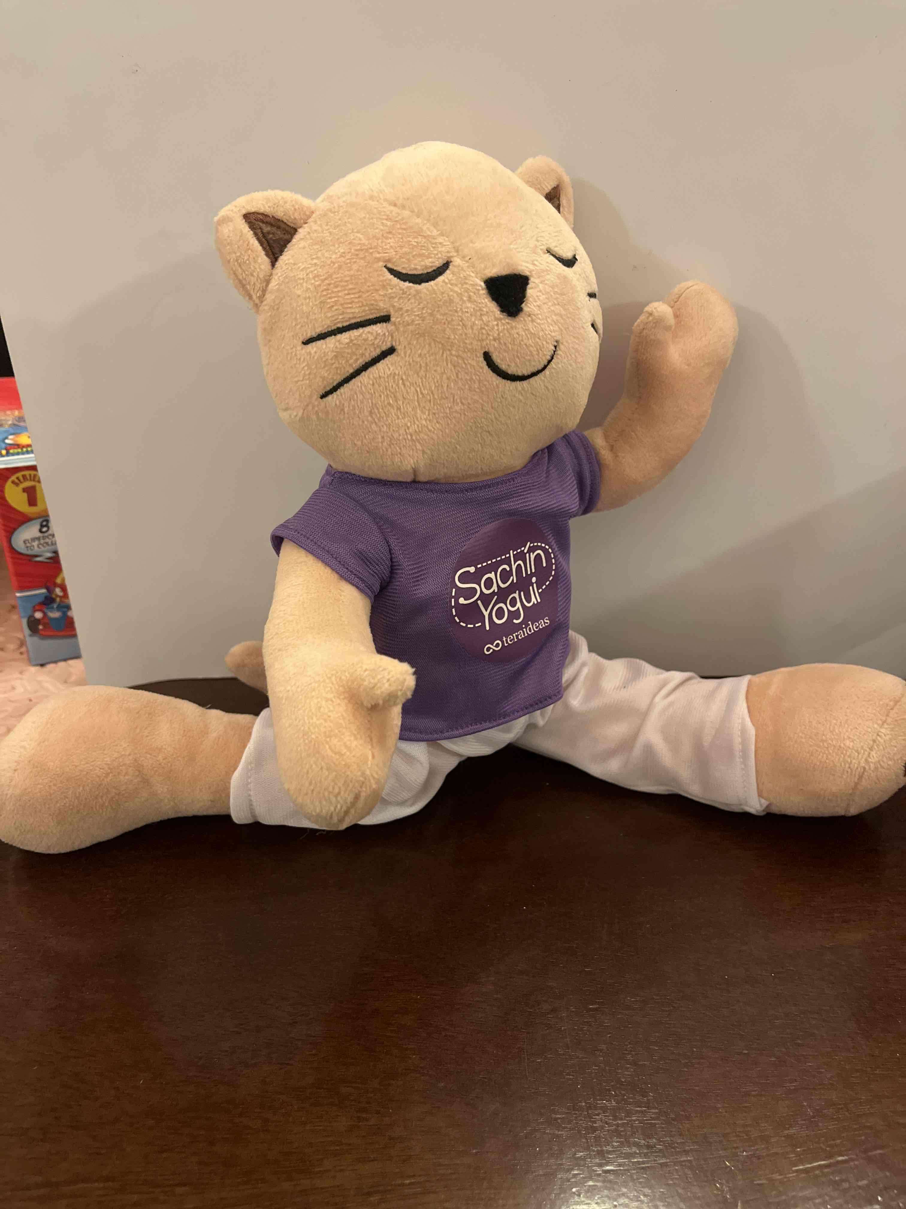 Peluche de gato meditando - miniatura 2