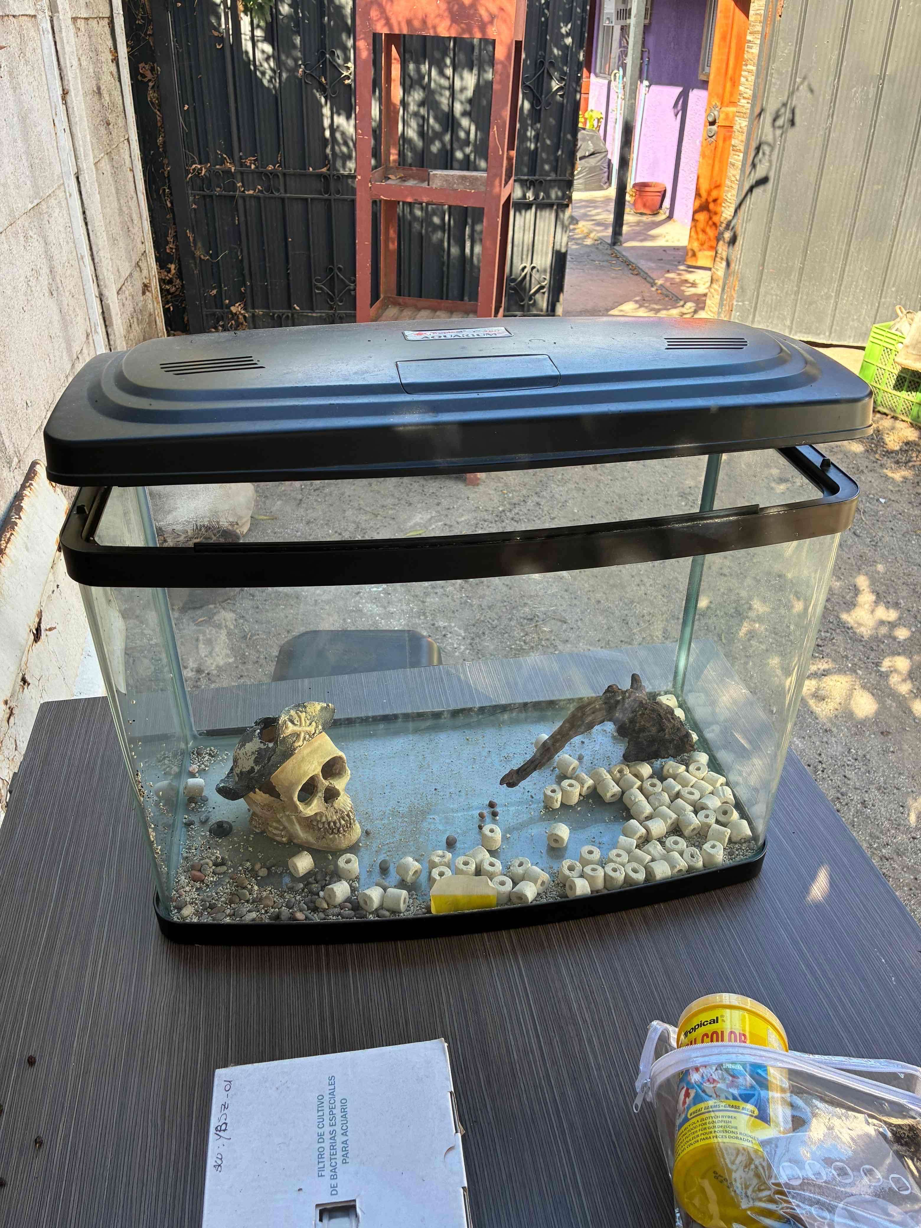 Acuario o terrario - miniatura 1