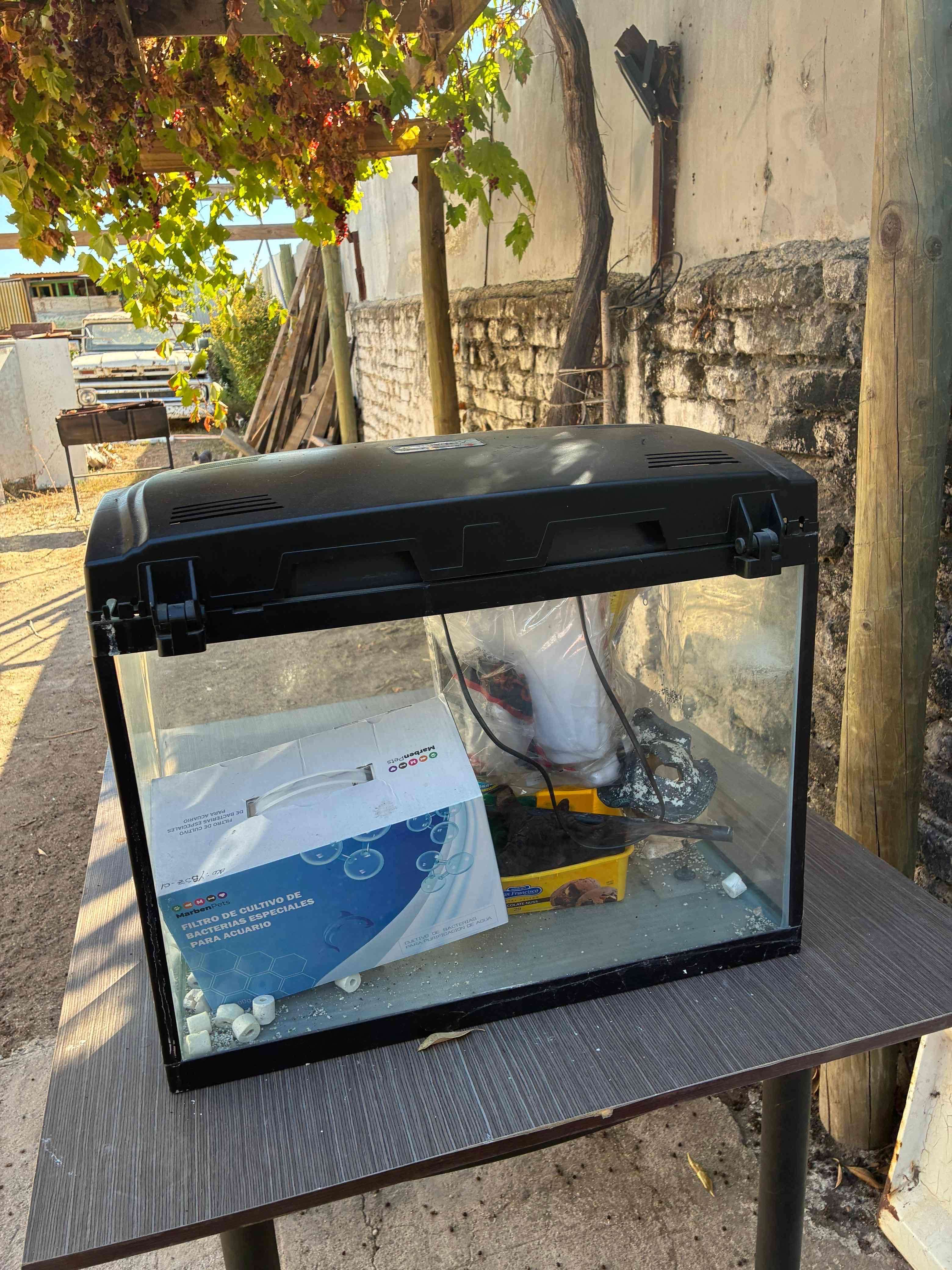 Acuario o terrario - miniatura 2