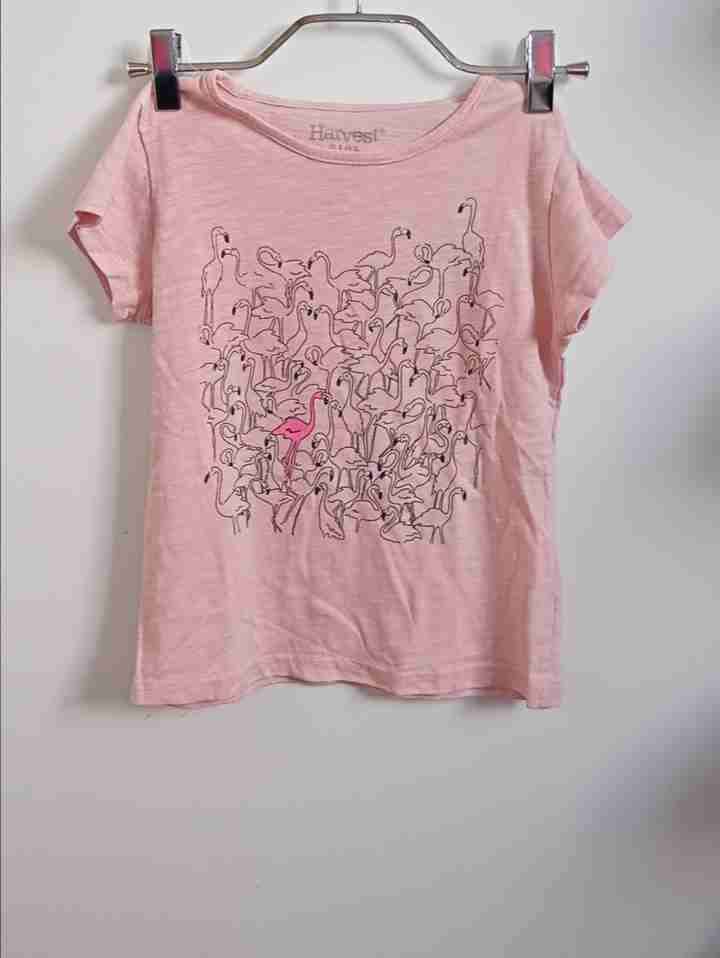 Polera rosa con diseño de flamencos