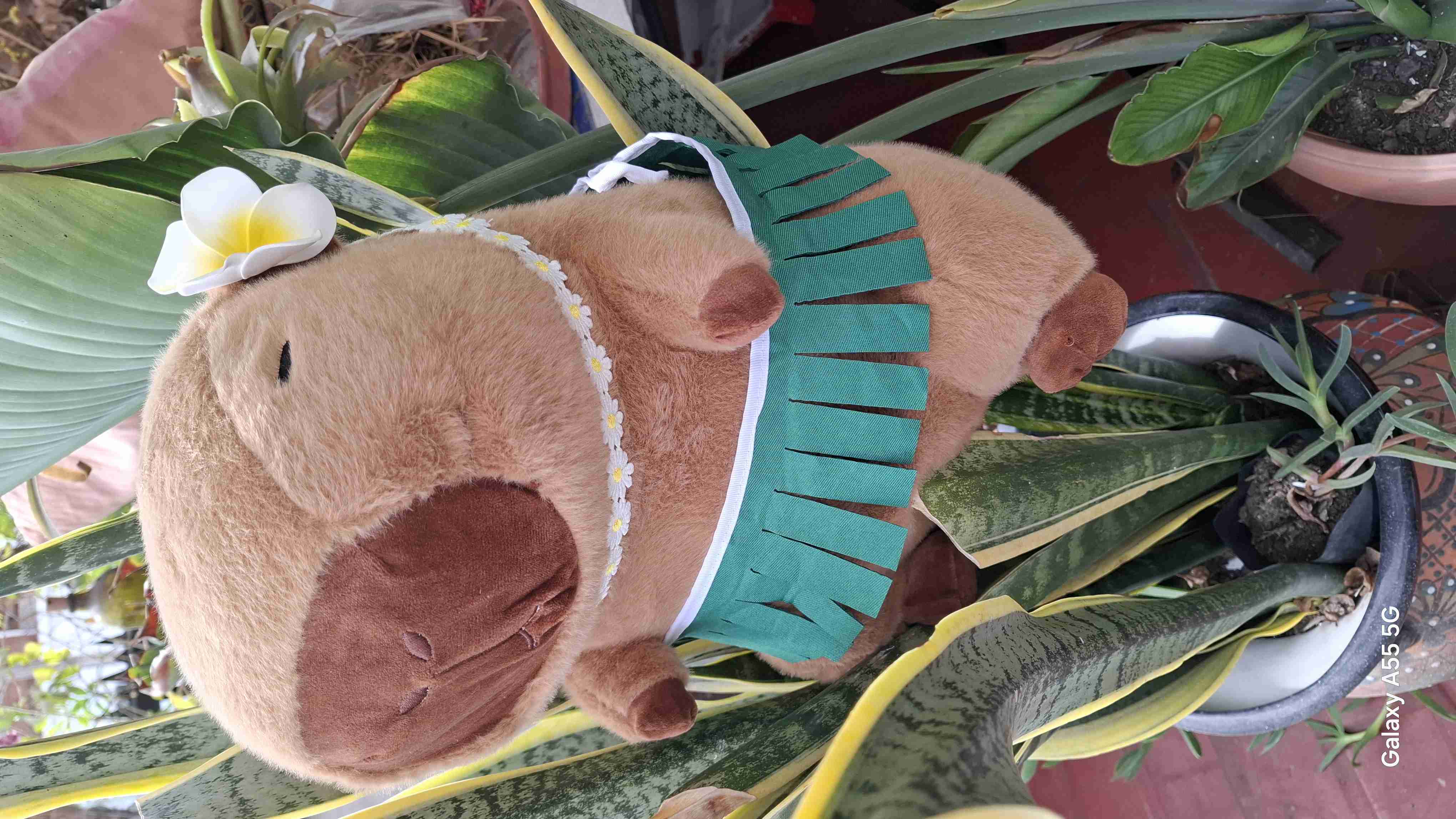 Peluche capibara con falda hawaiana - miniatura 1