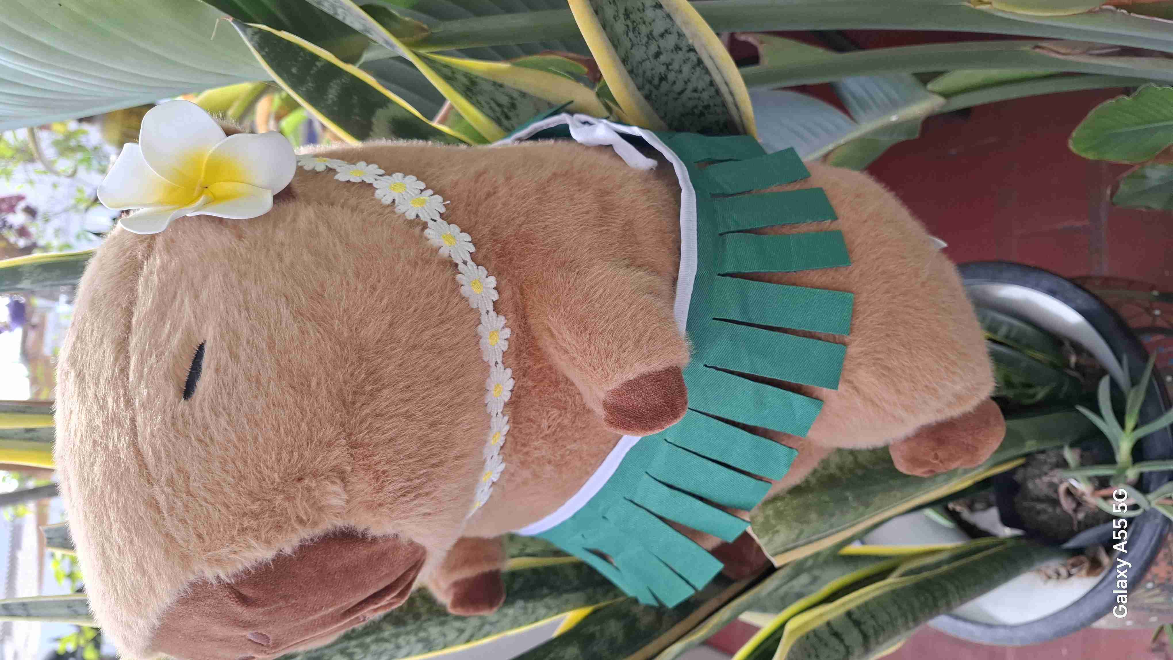Peluche capibara con falda hawaiana - miniatura 2