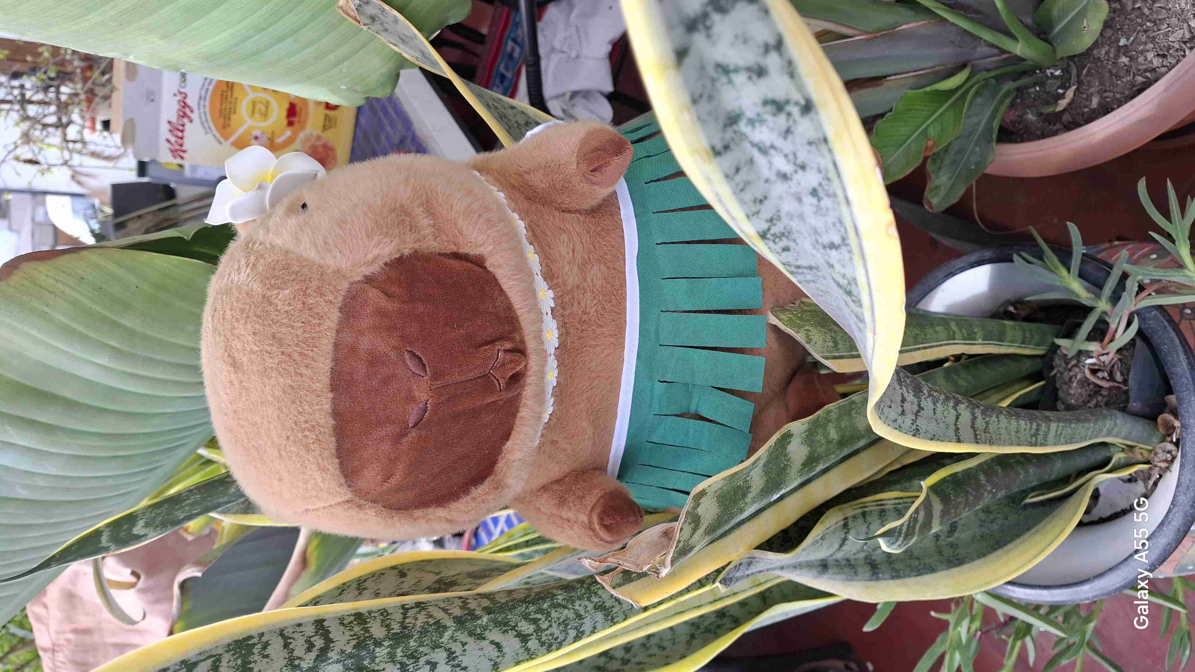 Peluche capibara con falda hawaiana - miniatura 3