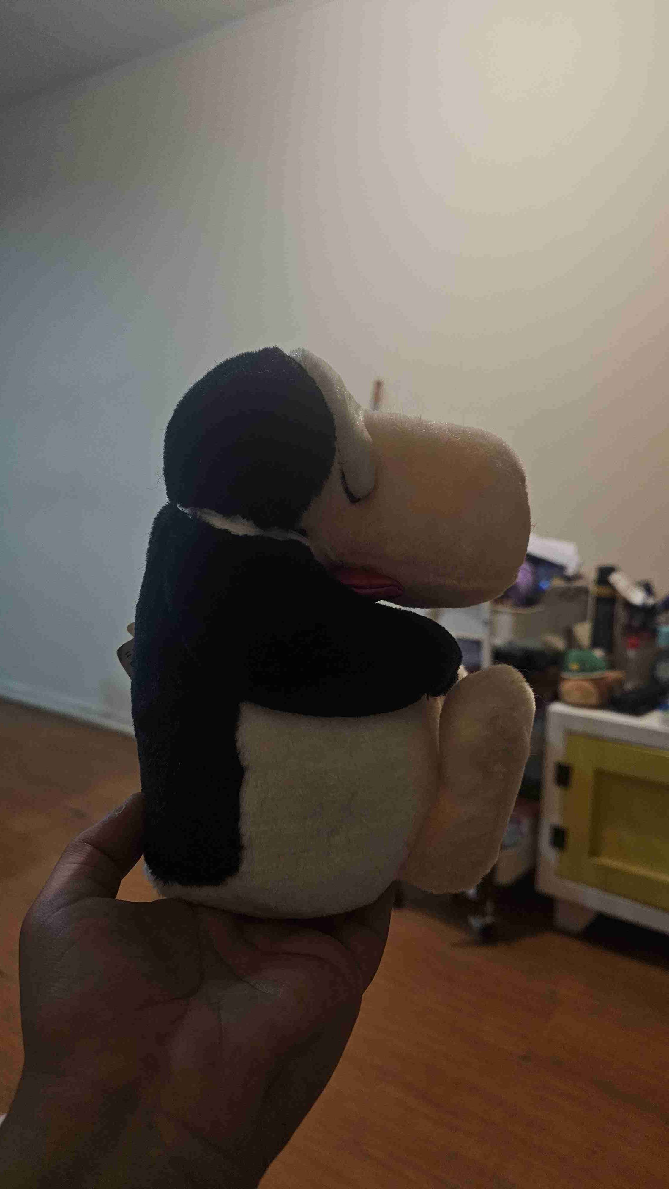 Peluche pinguino OPUS - miniatura 2