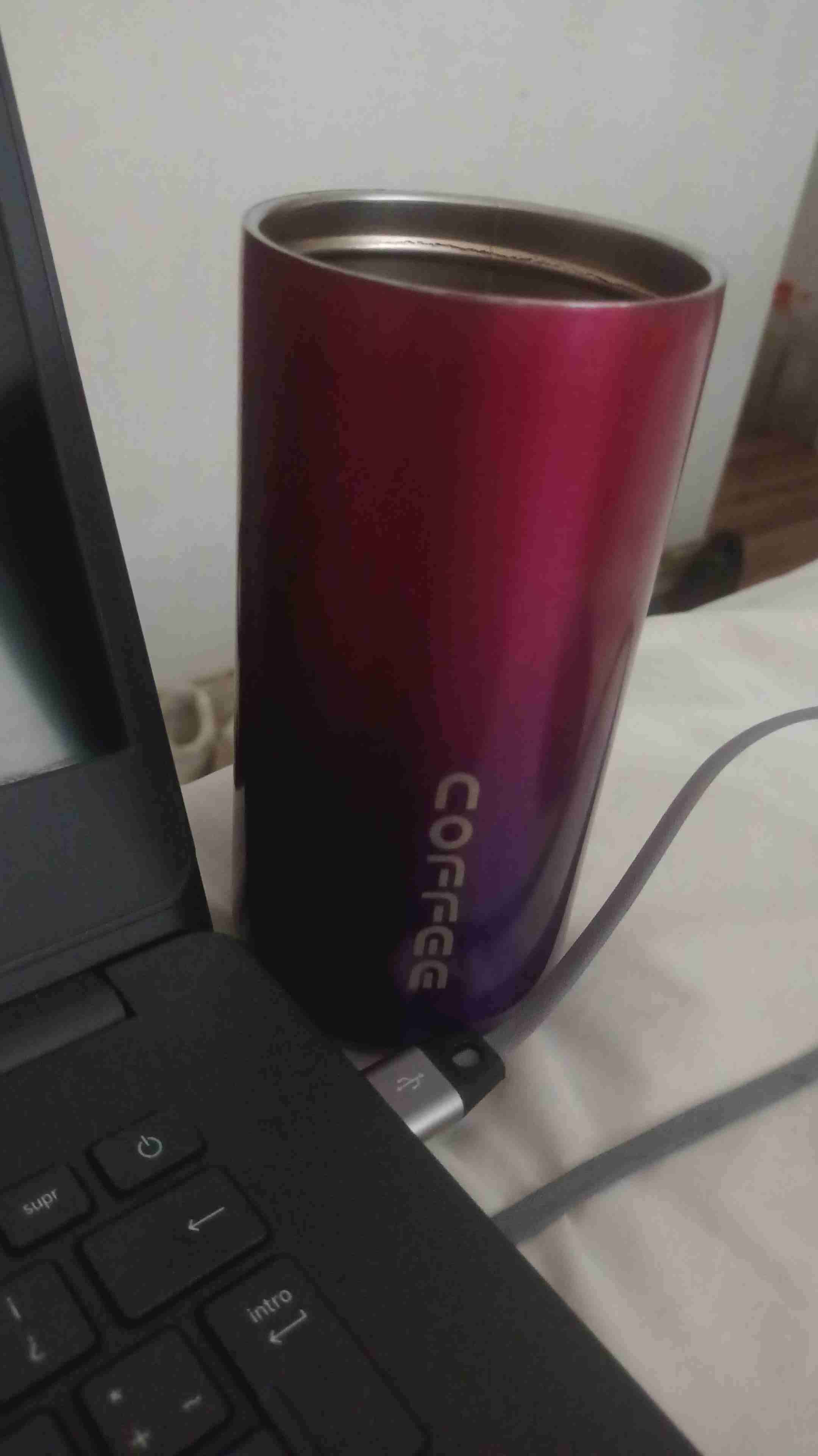 Tazón térmico colorido