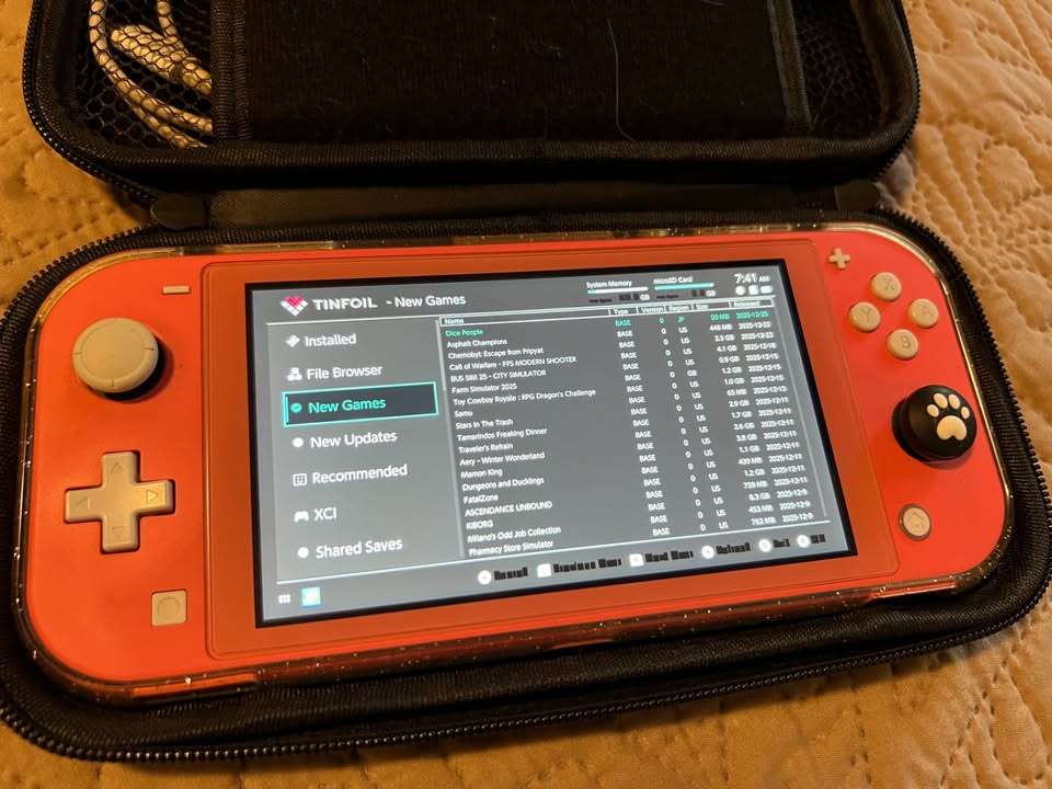 Nintendo Switch Lite desbloqueada - miniatura 4