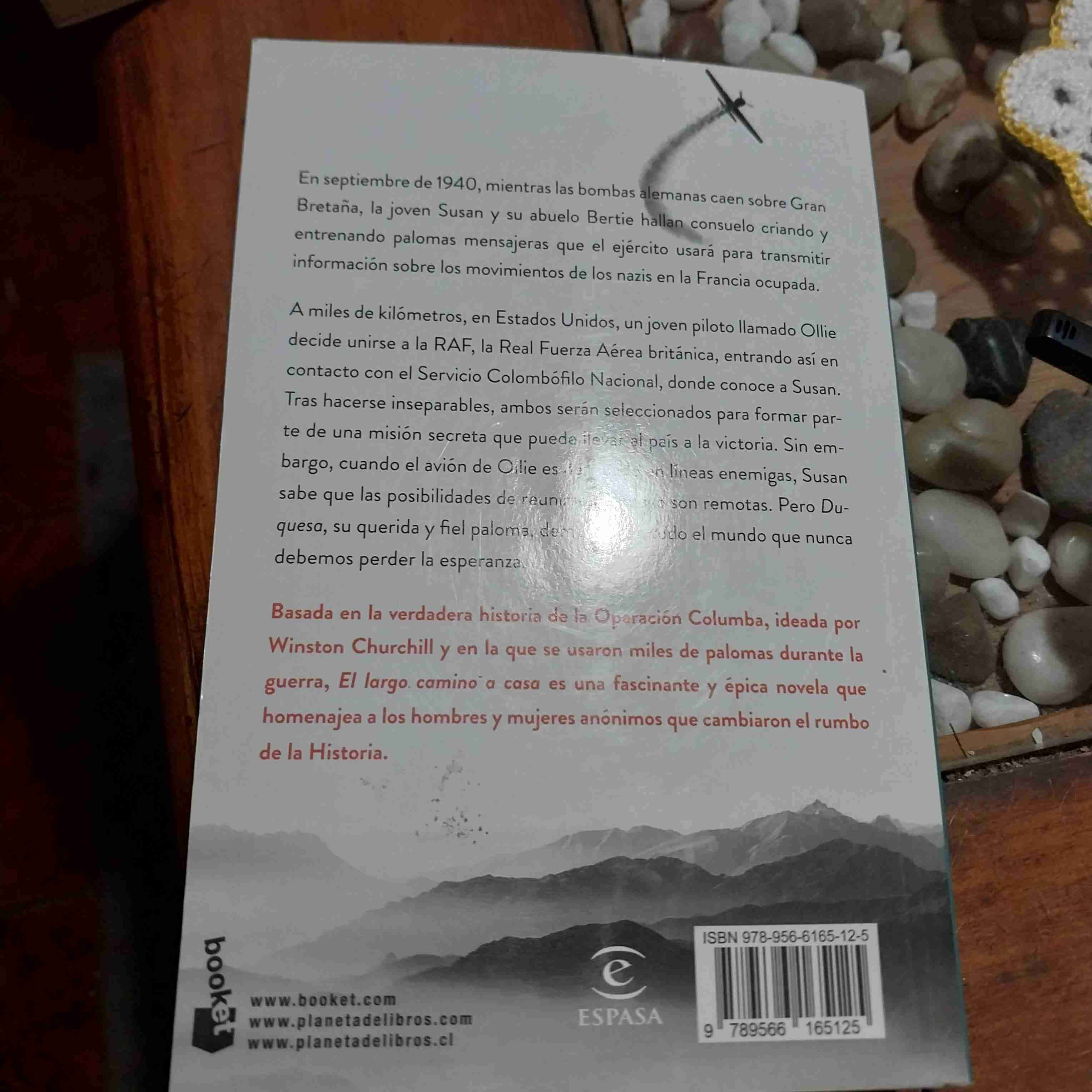 Libro 'El Largo Camino a Casa' - miniatura 2