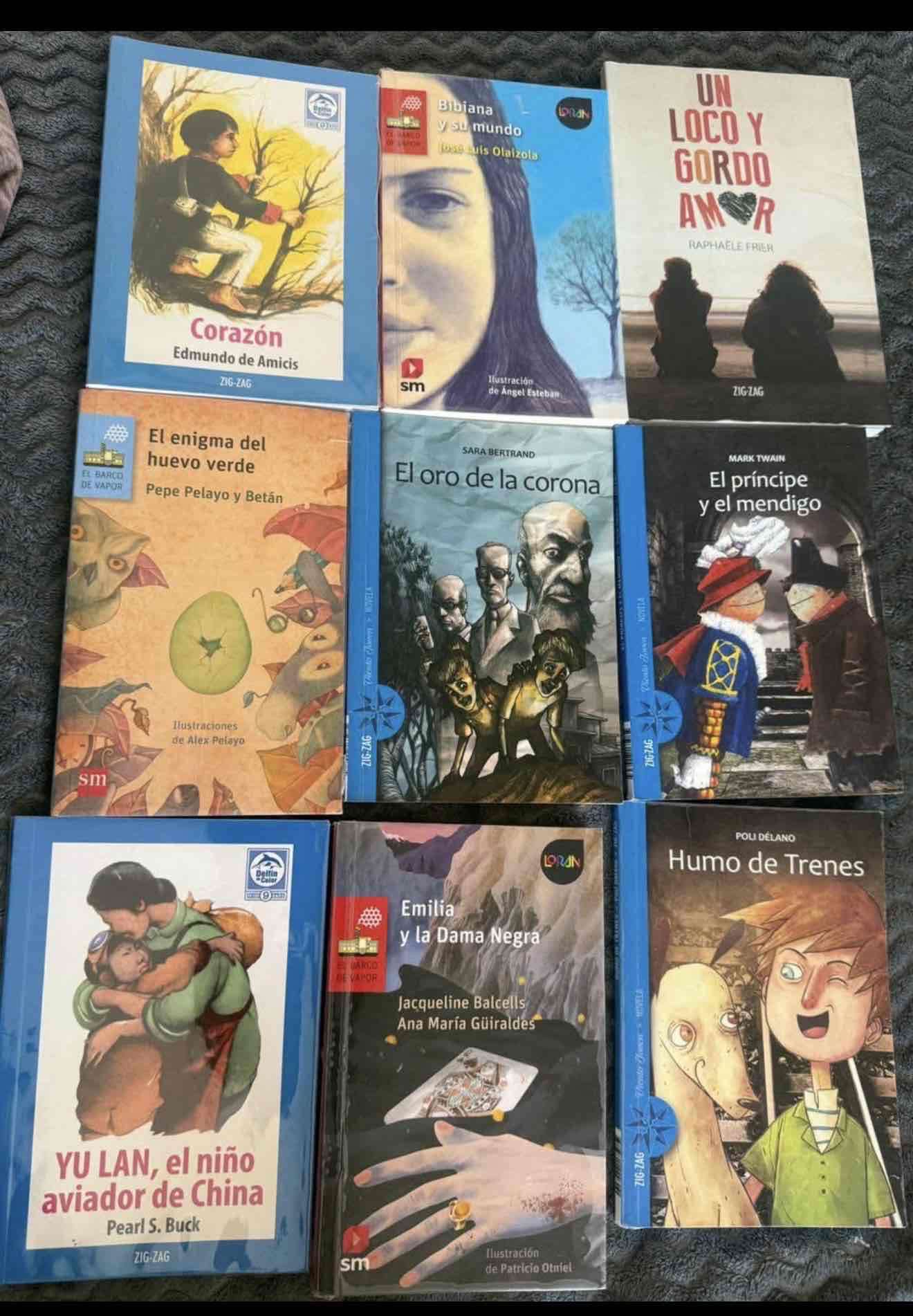 Lote de libros infantiles usados - miniatura 1