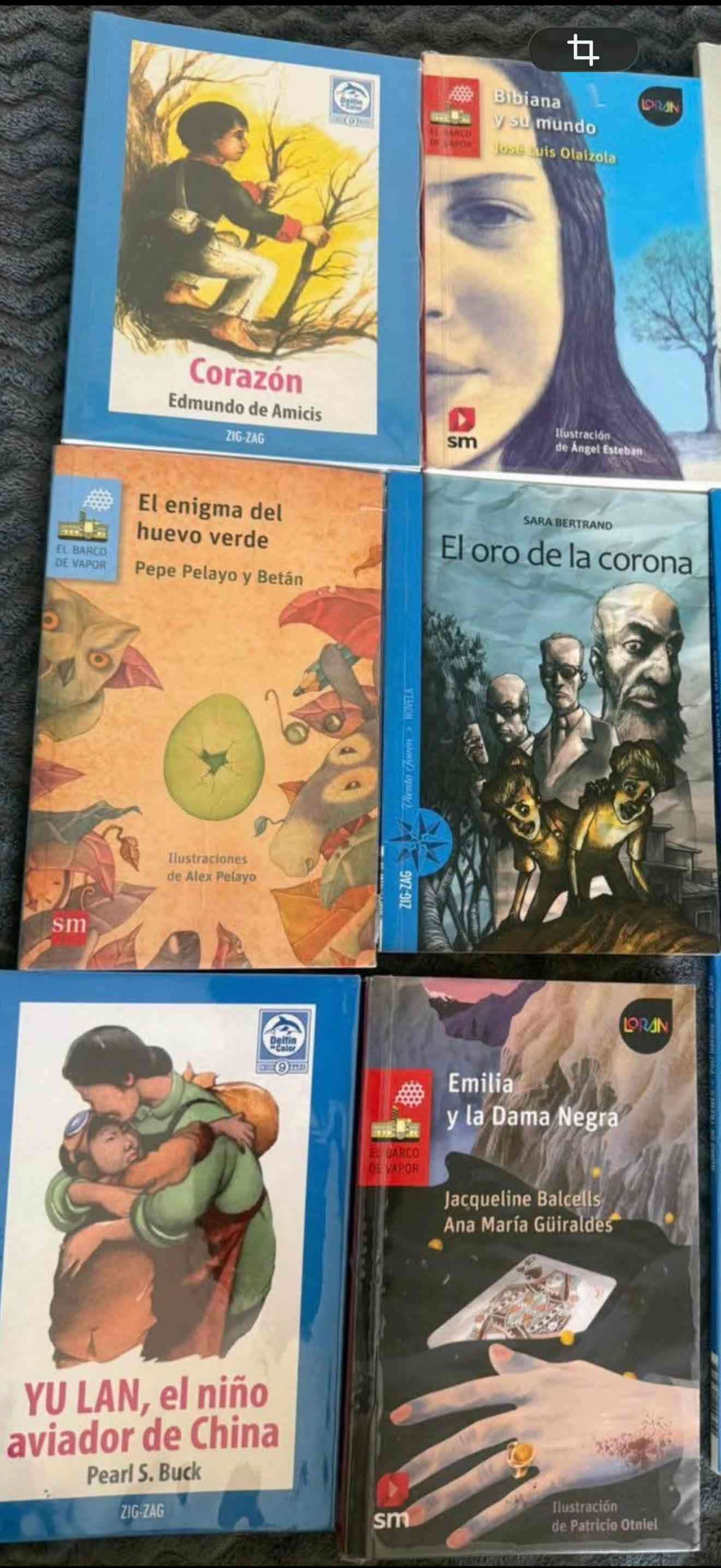 Lote de libros infantiles usados - miniatura 2