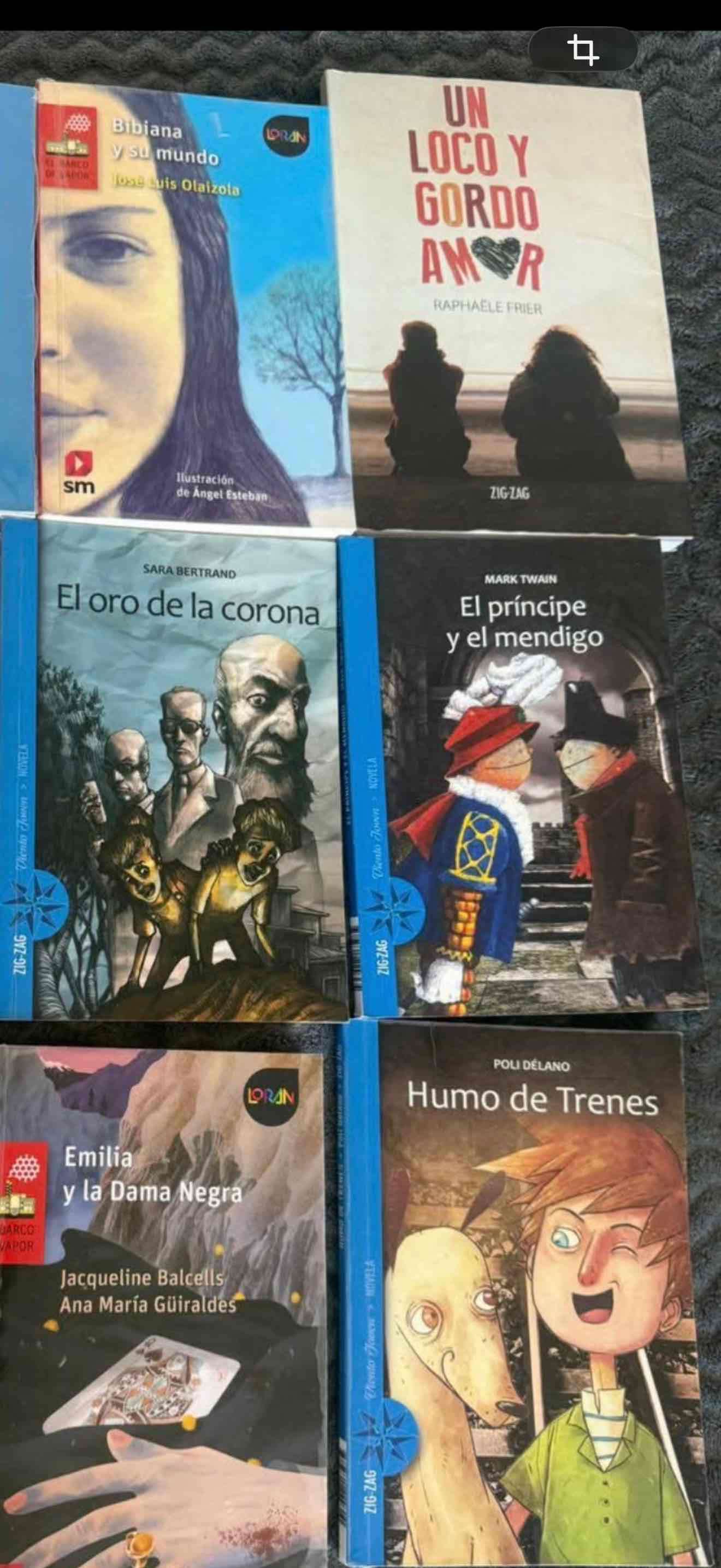 Lote de libros infantiles usados - miniatura 3