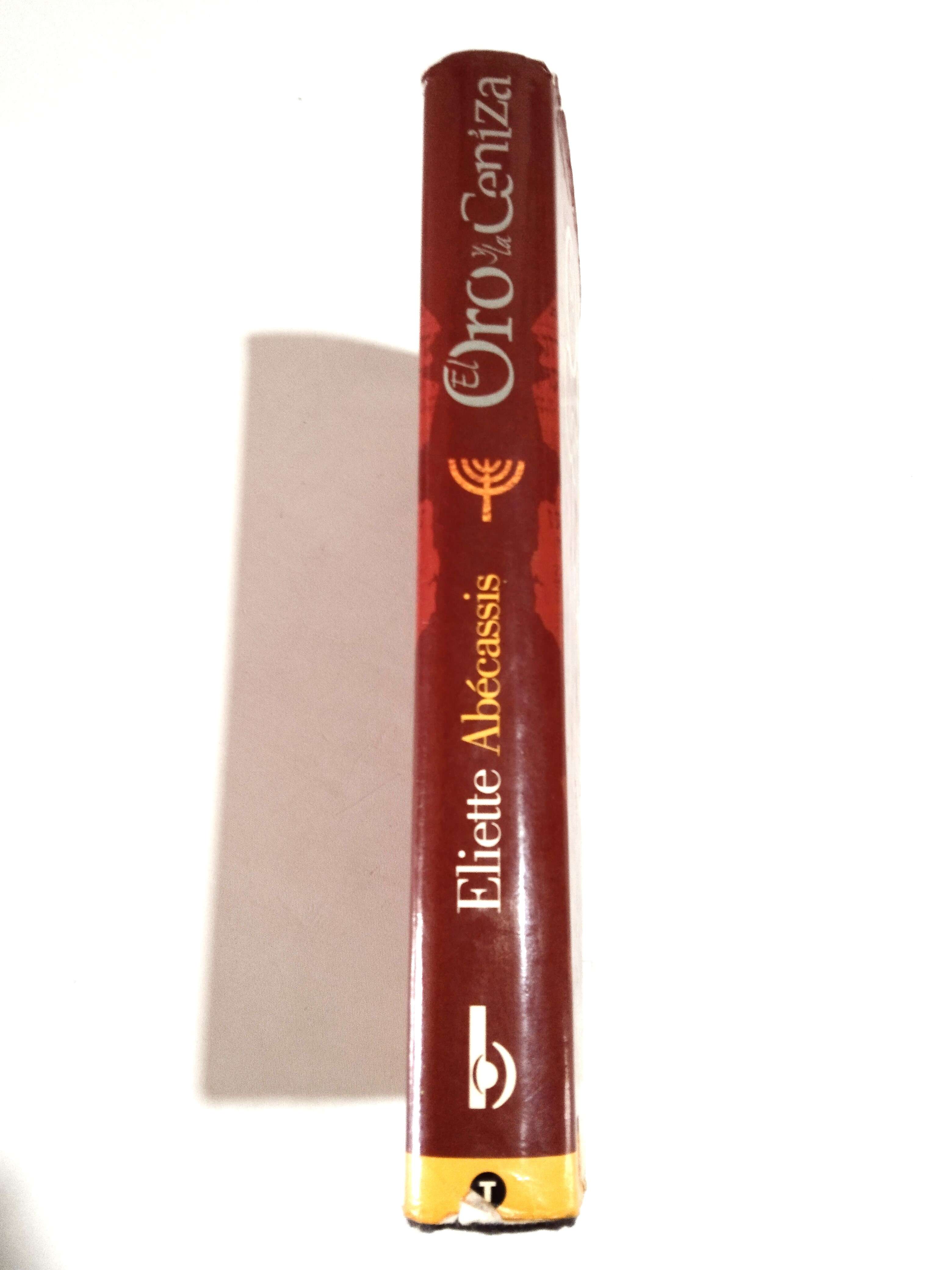 Libro 'El Oro y la Ceniza' - miniatura 2