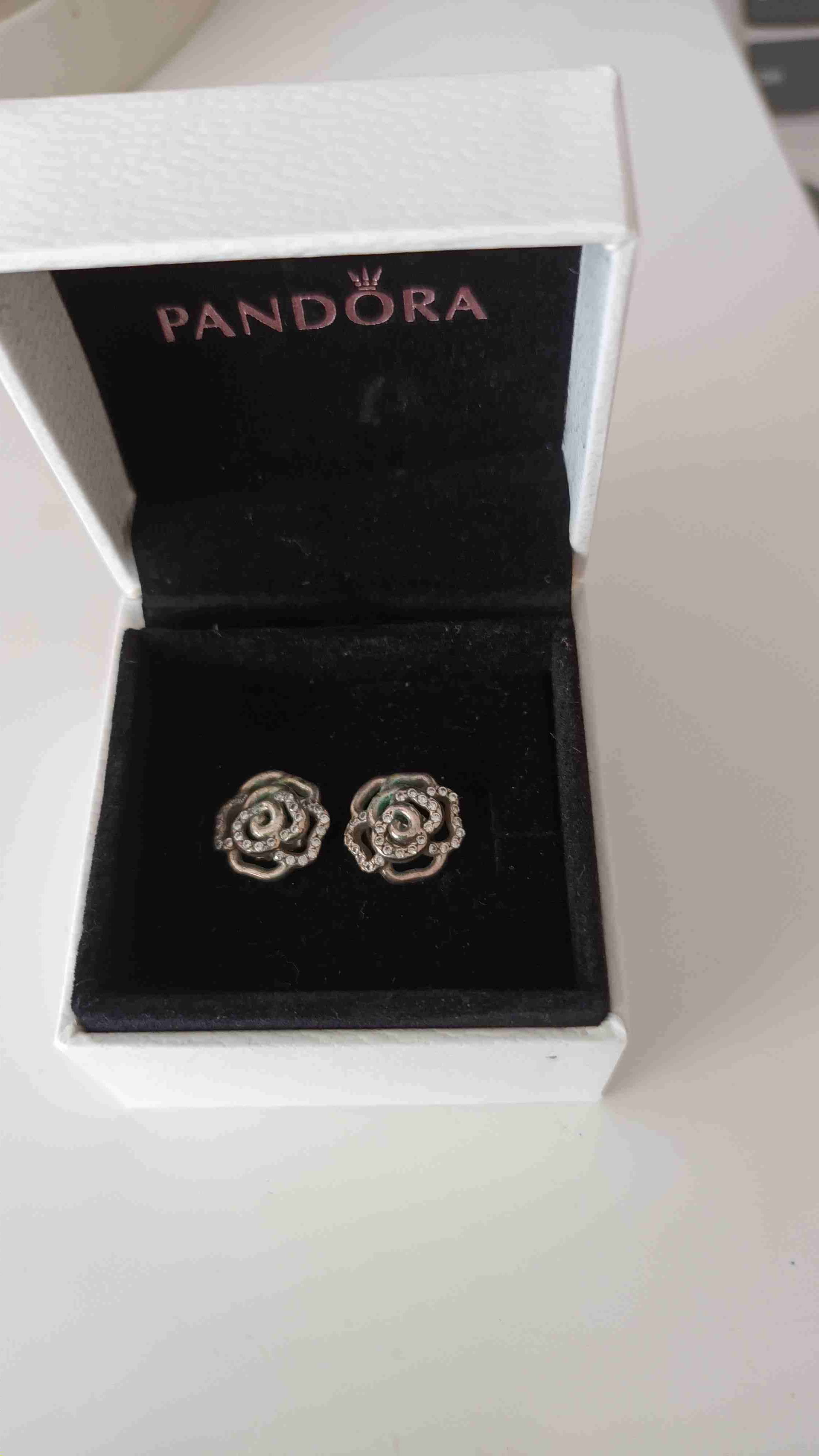 Aros Pandora de rosas brillantes - miniatura 1