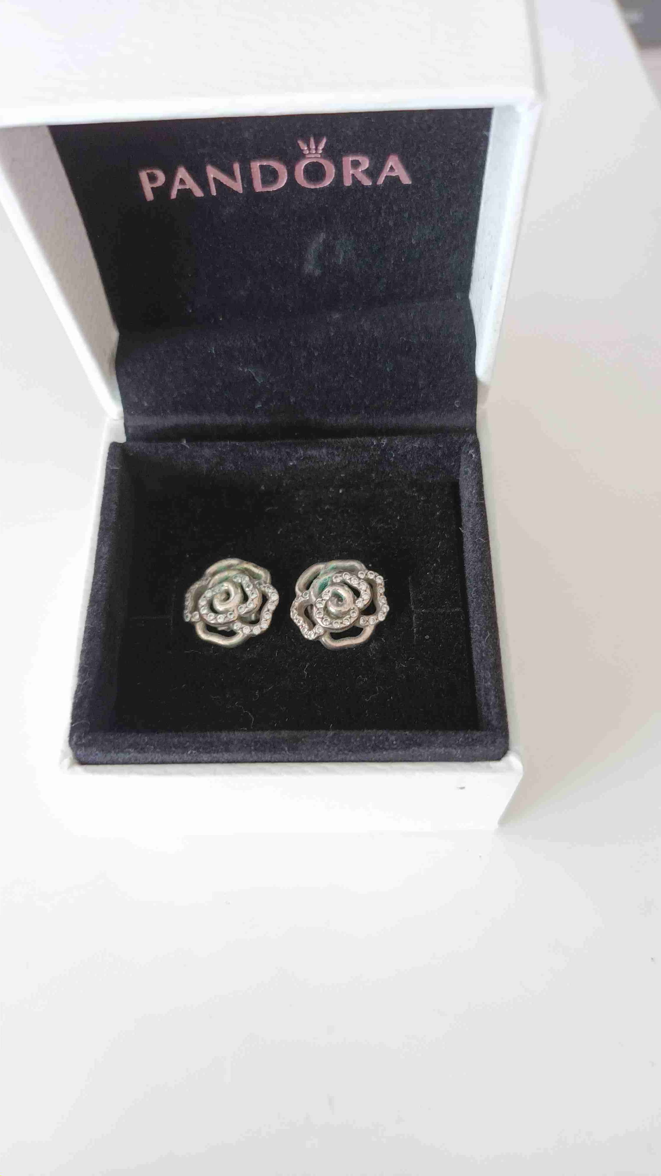 Aros Pandora de rosas brillantes - miniatura 2