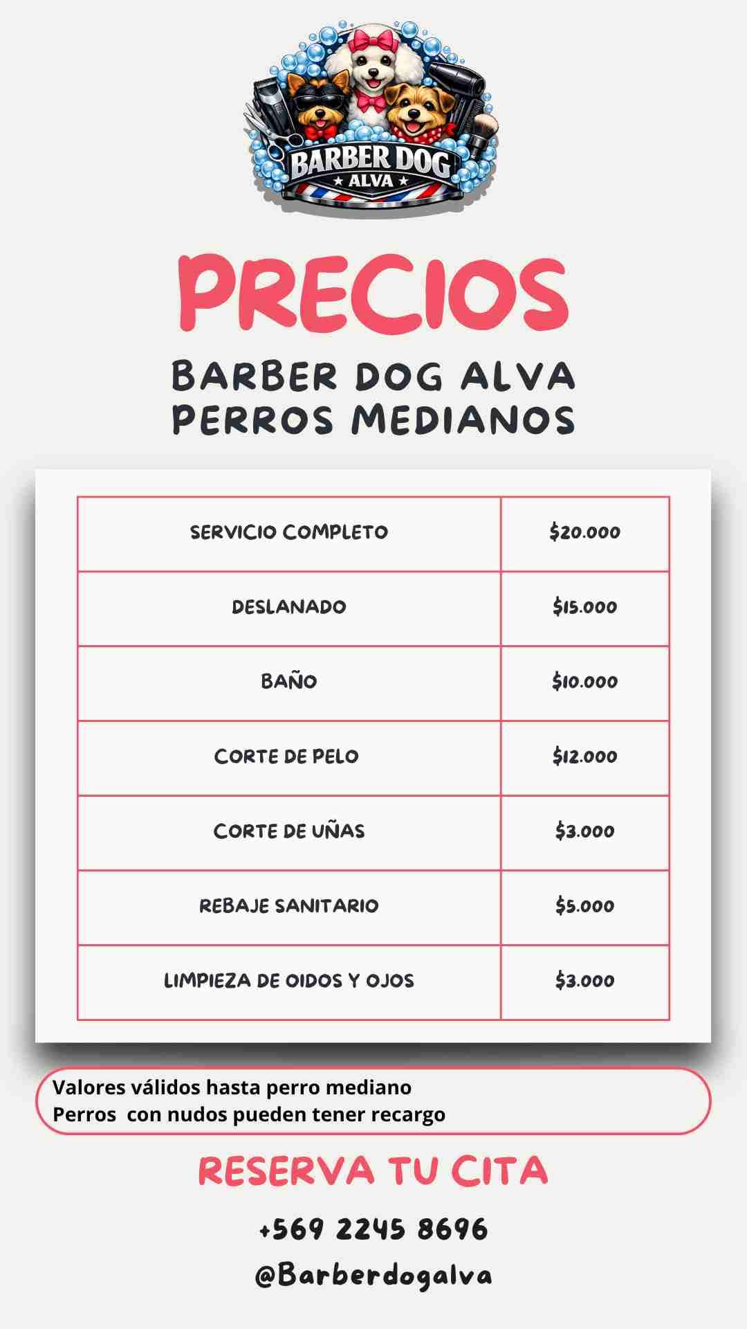Servicio de peluquería canina - miniatura 2