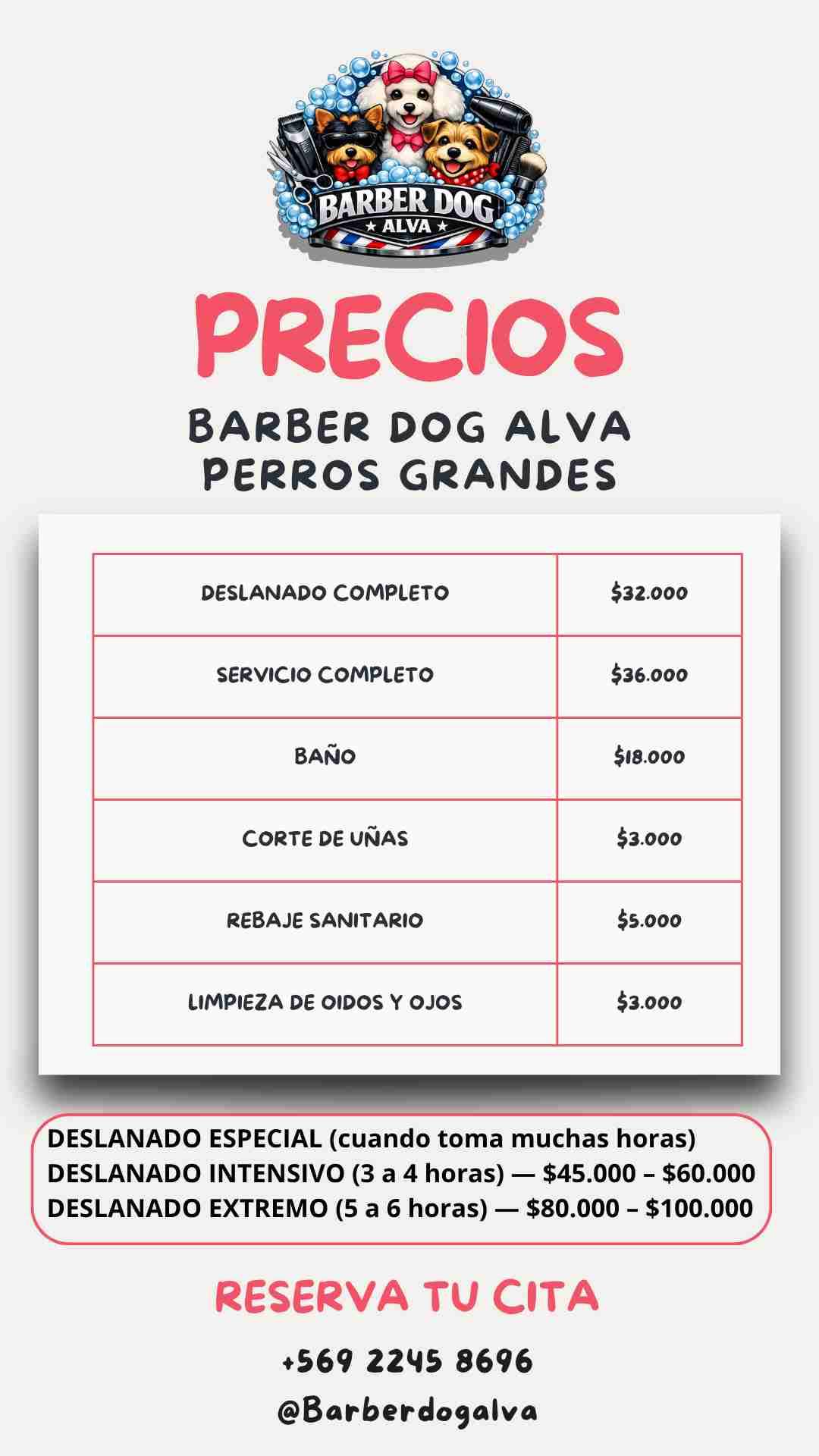 Servicio de peluquería canina - miniatura 3